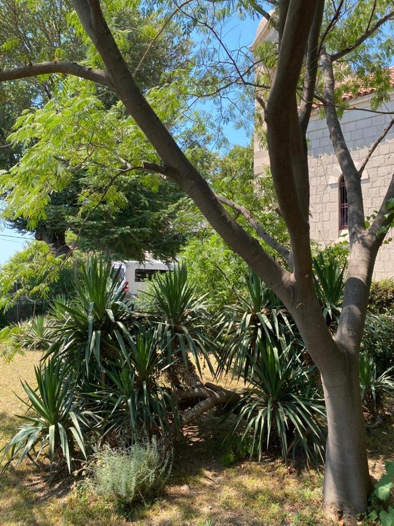 A big apartment for a big holiday! view 4