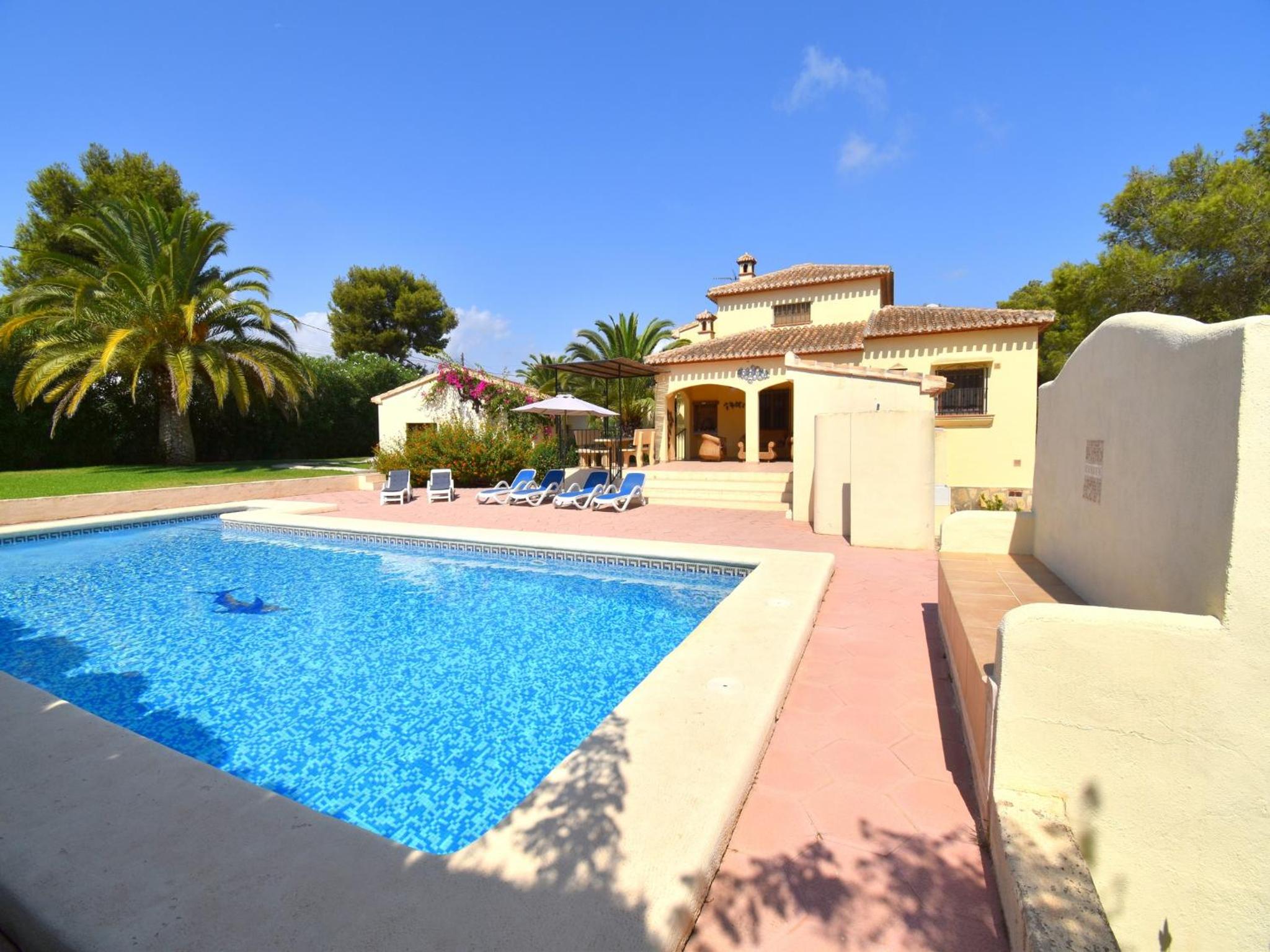 Casa Delfin photo 4