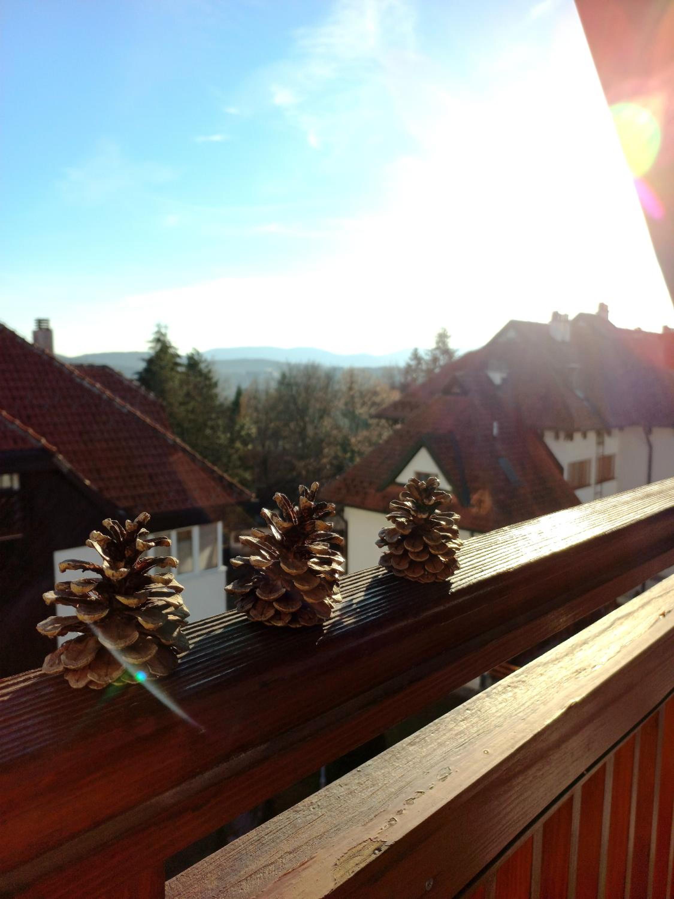 Apartman Miran san view 2