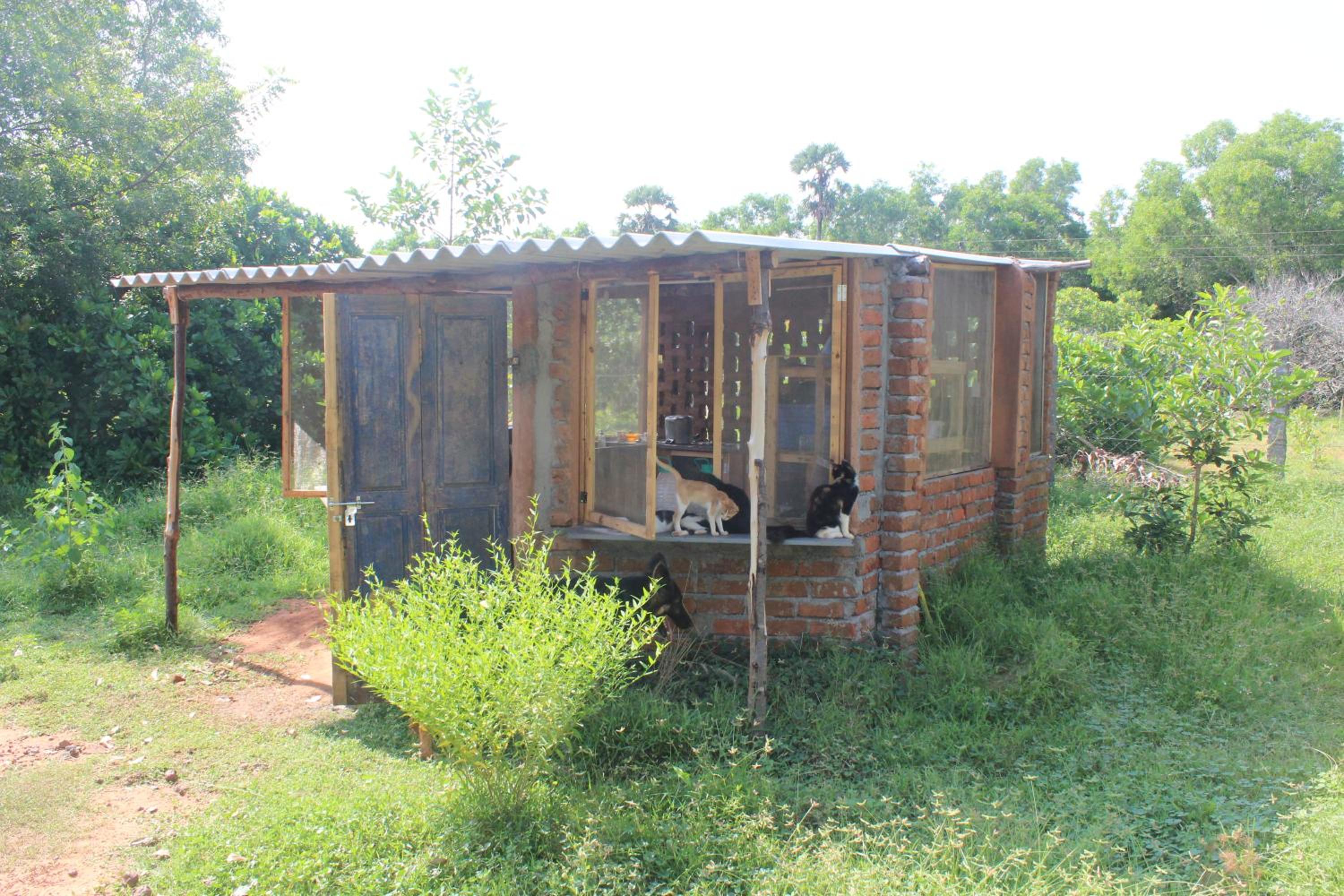 Photo 7