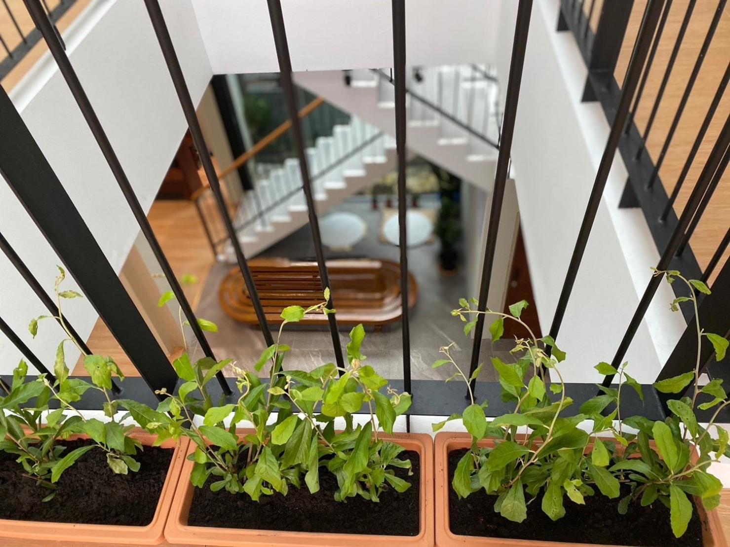 Balcony & Terrace