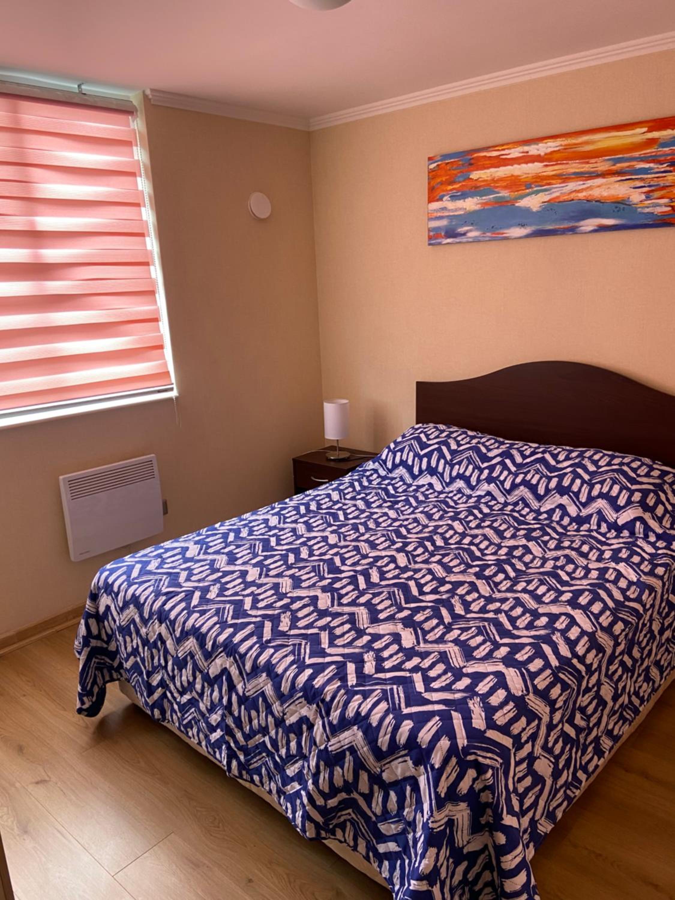 Departamento Villarrica view 2
