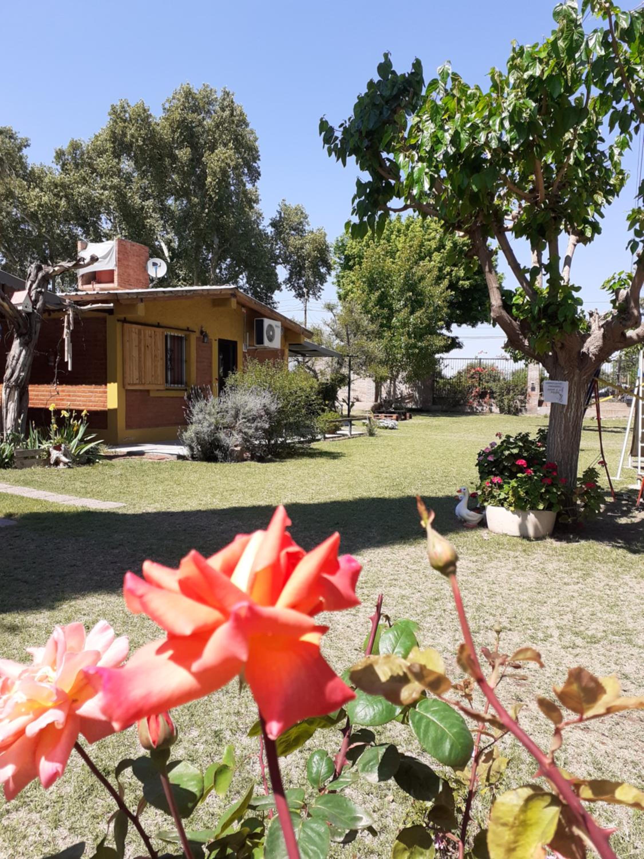 Cabañas Mirmar Mendoza