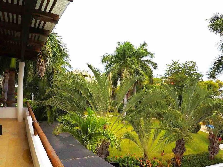 Lovely modern beach Villa view 3