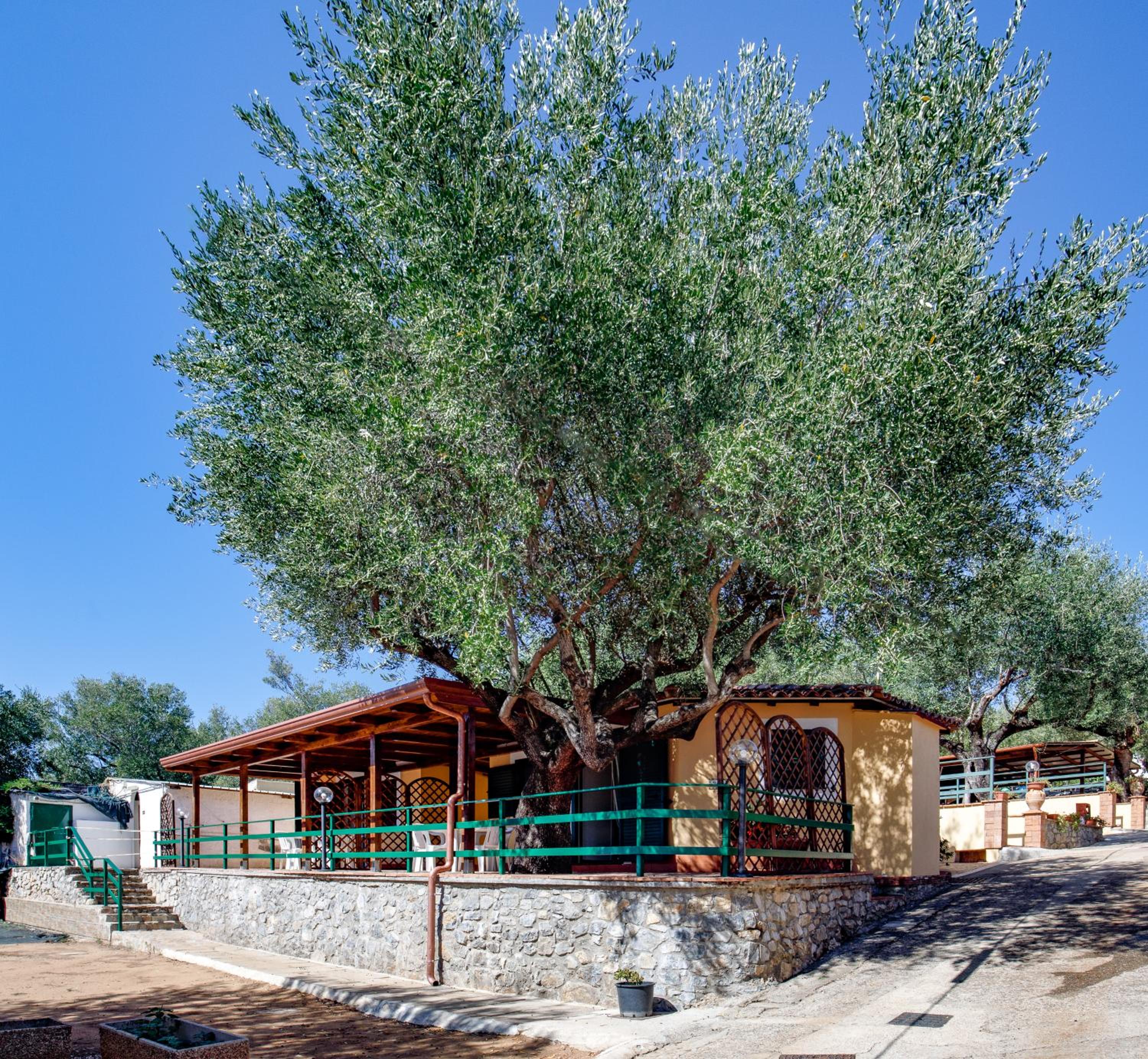 Photo 18
