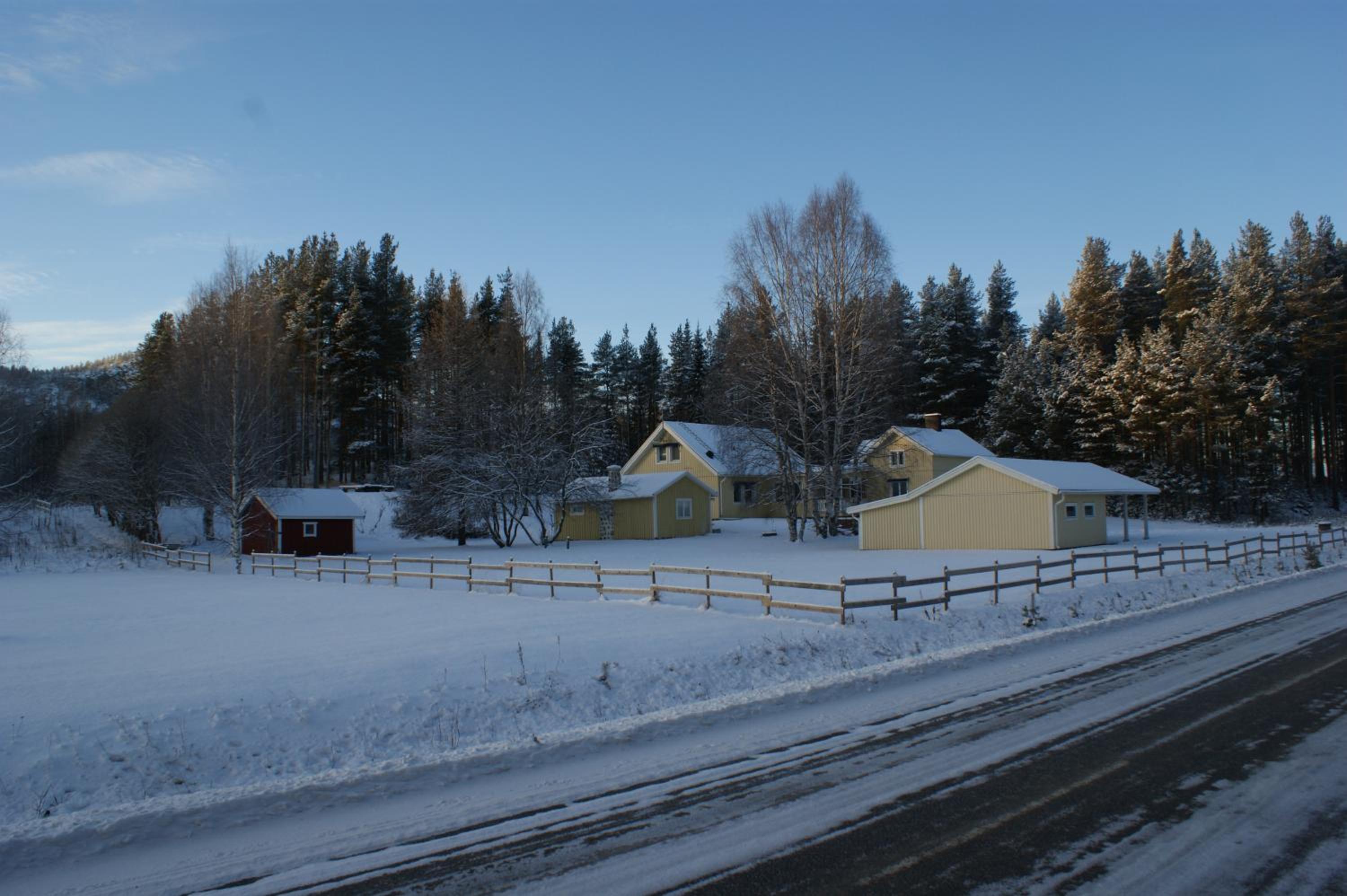 Photo 21