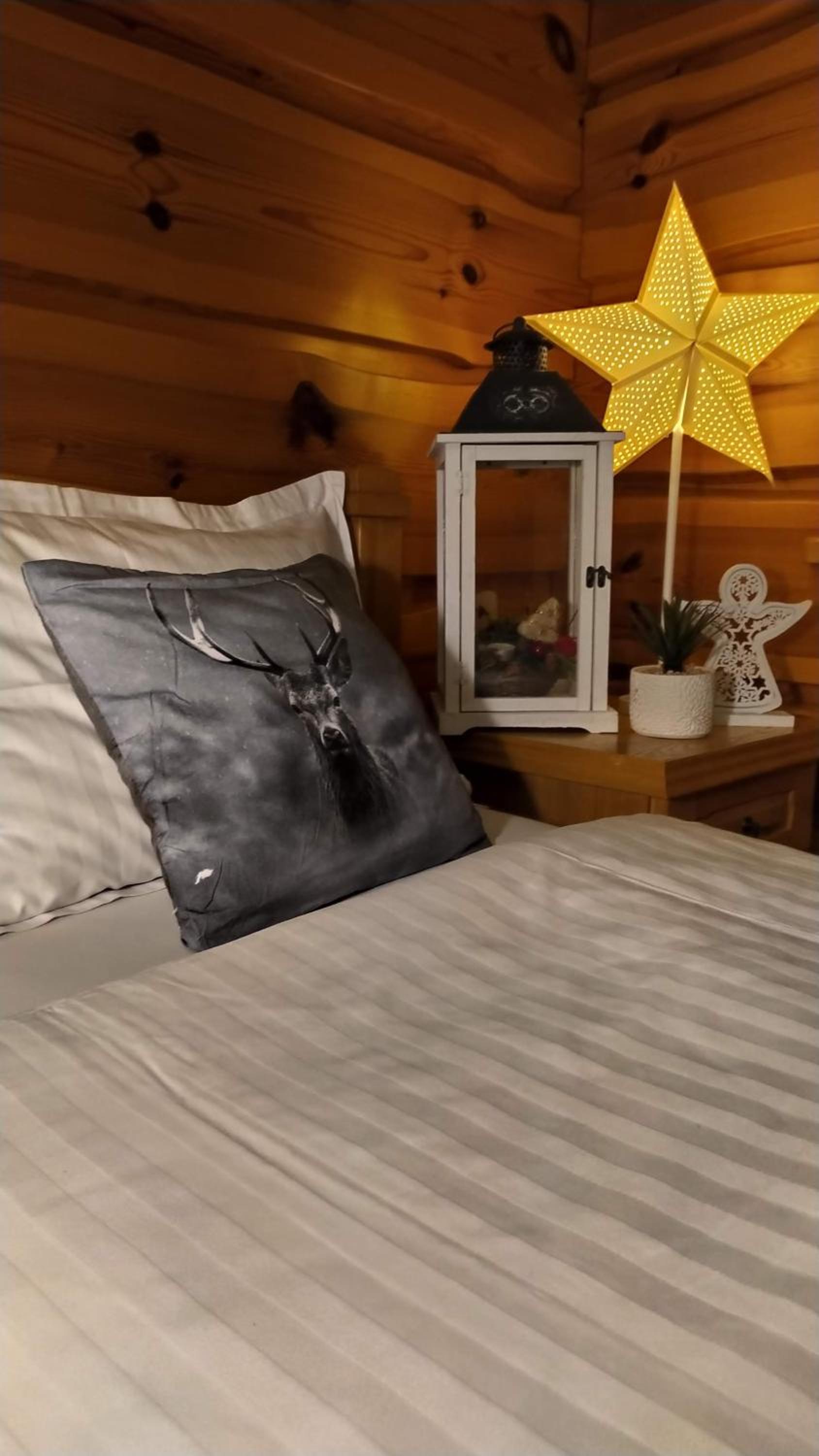 WILLA WIDOKOWA Apartamenty & Pokoje z widokiem na góry view 3