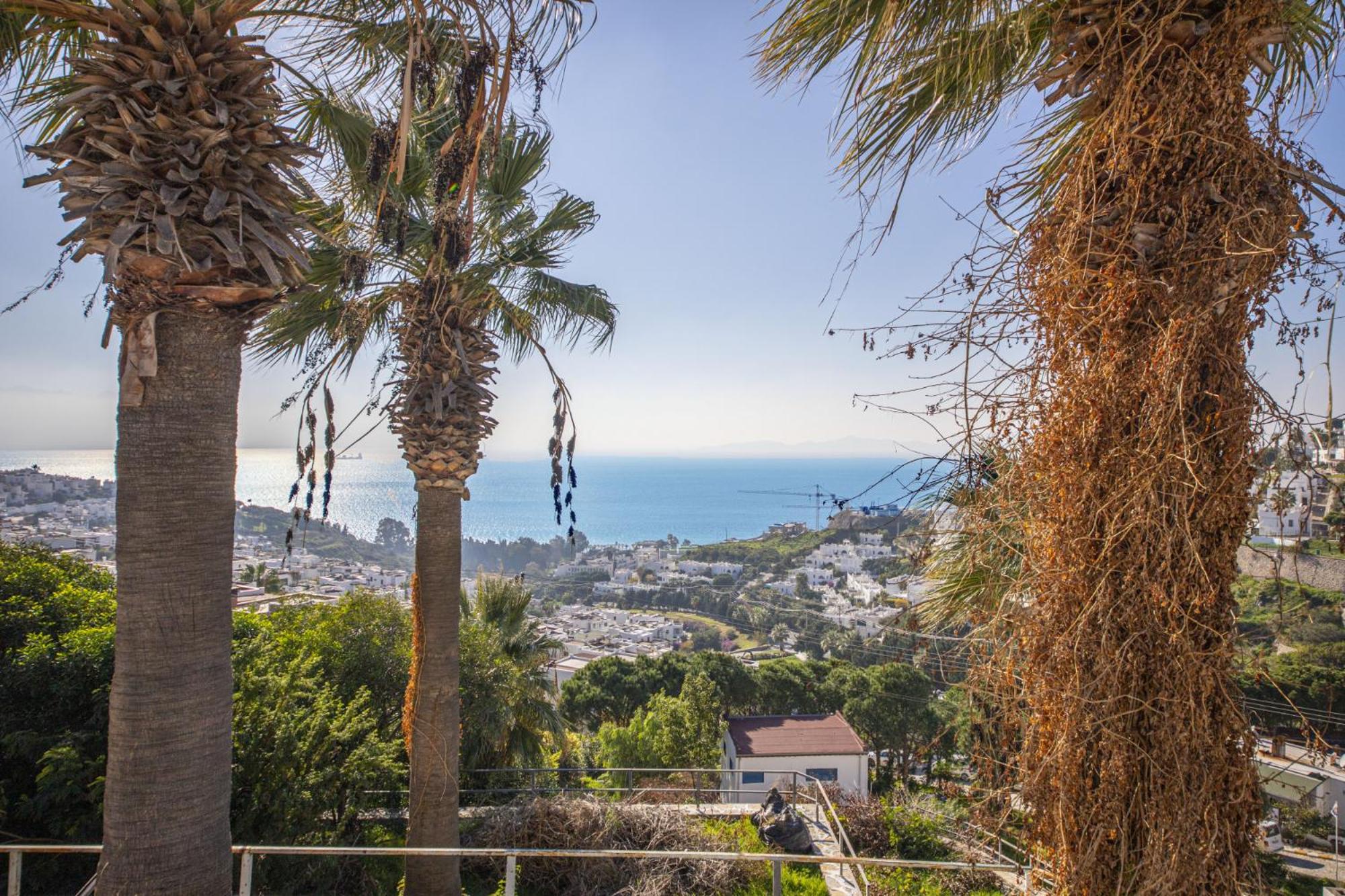 Flat with Sea View Pool and Terrace in Bodrum