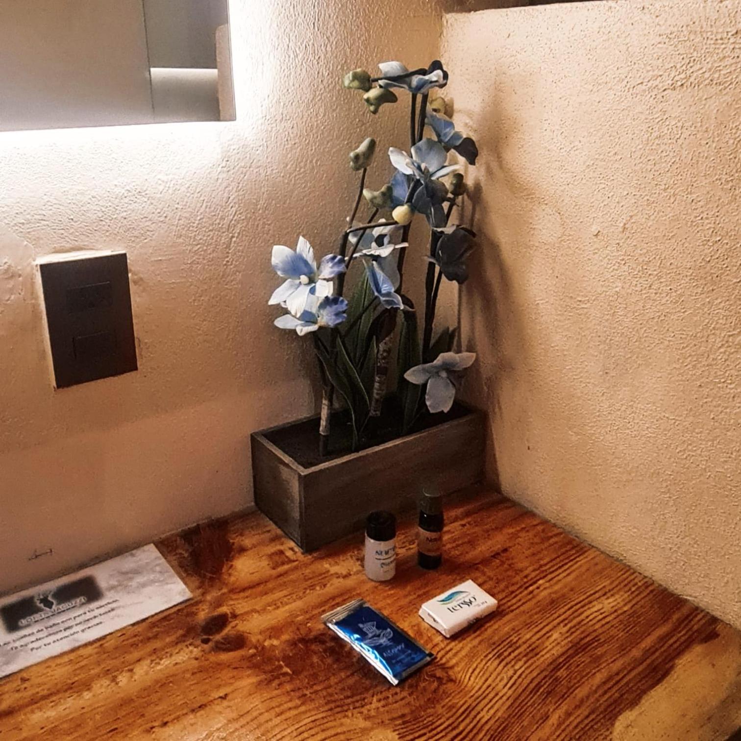 No. 3 Encantador Loft Jacuzzi Mazamitla