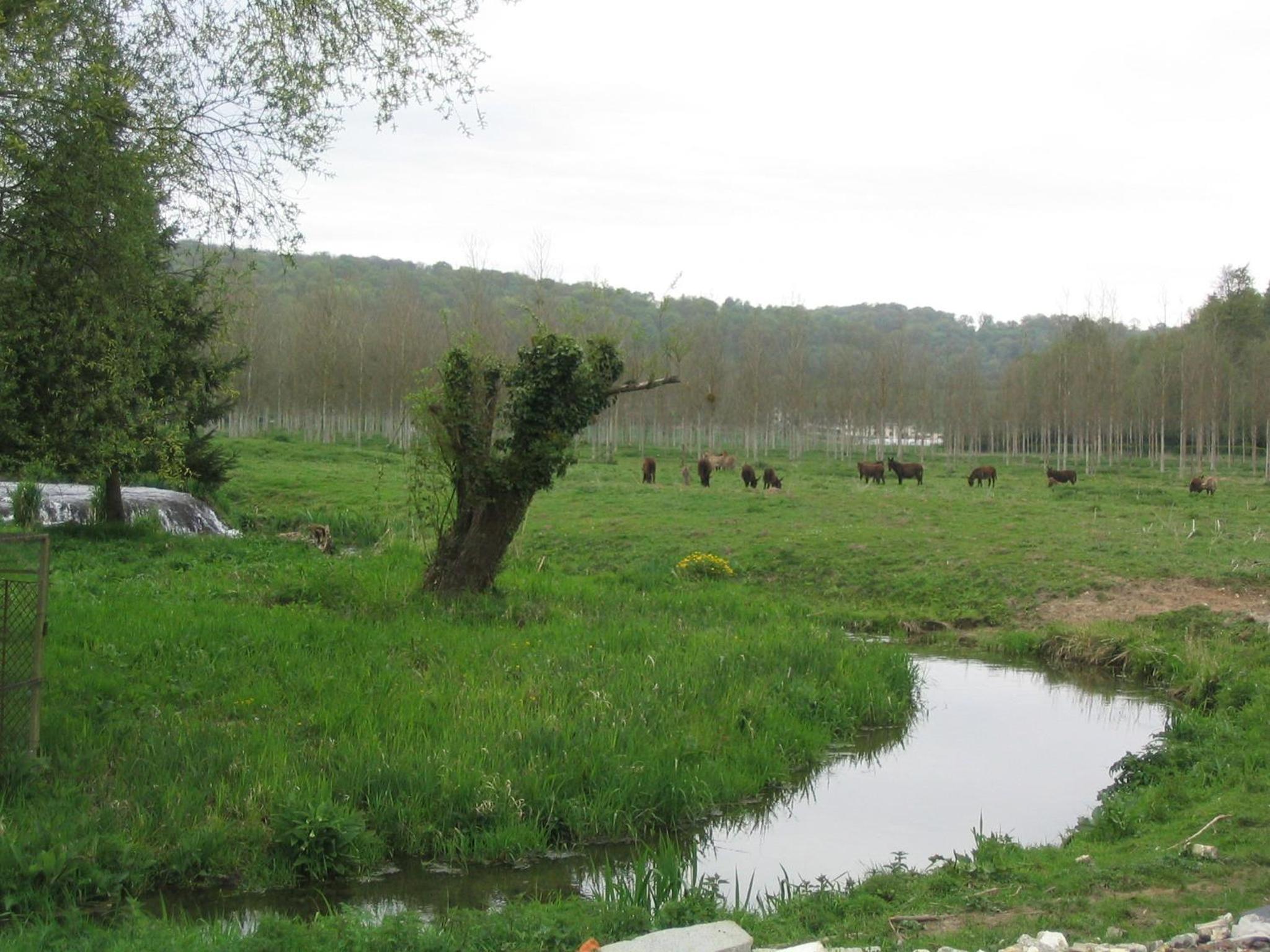 Photo 13