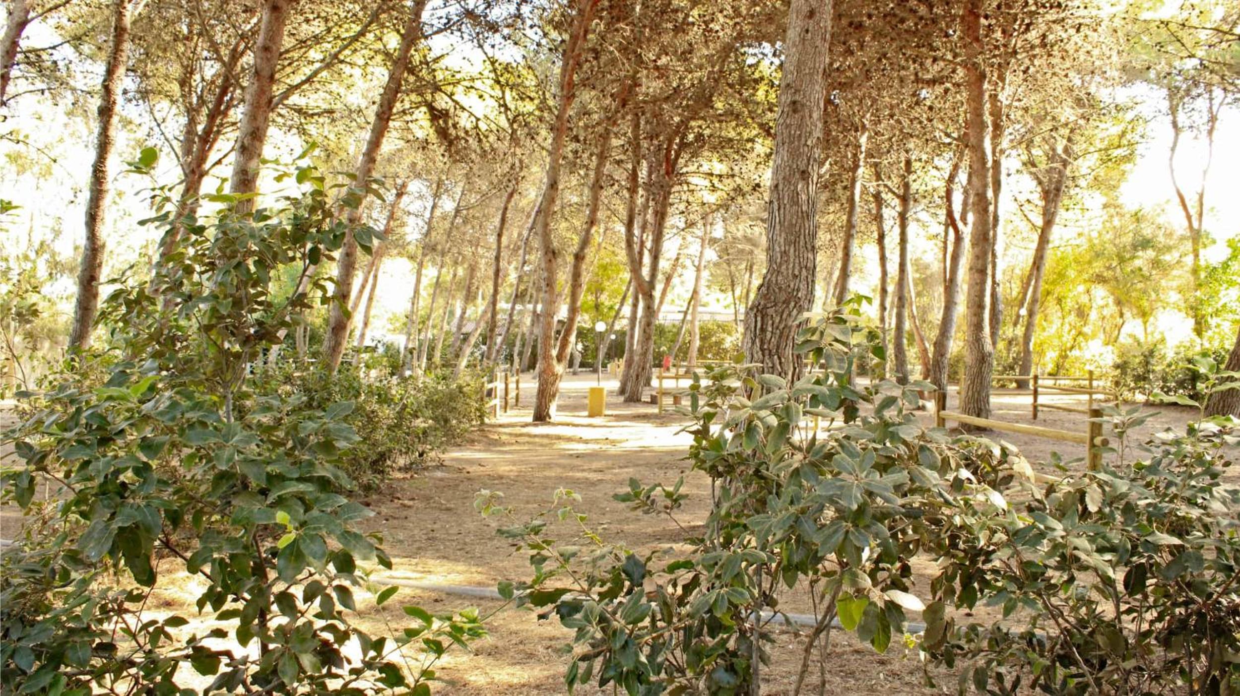 Villaggio Camping Sentinella photo 5