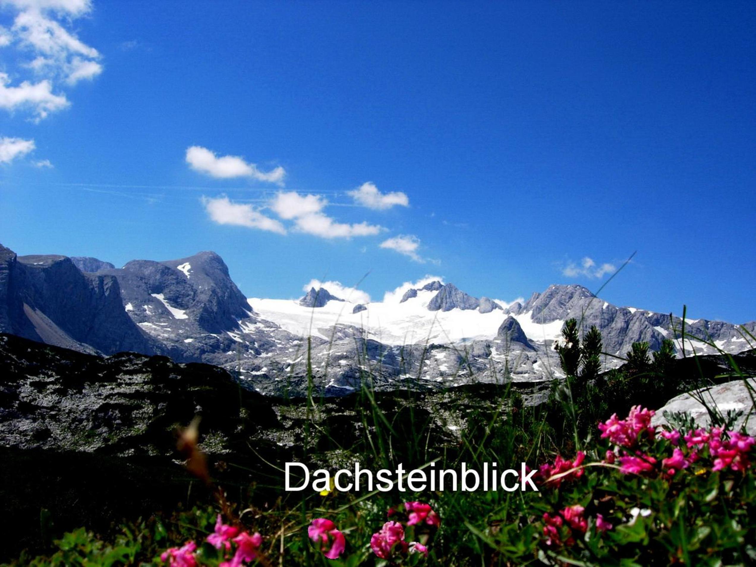 Haus Alpenblick