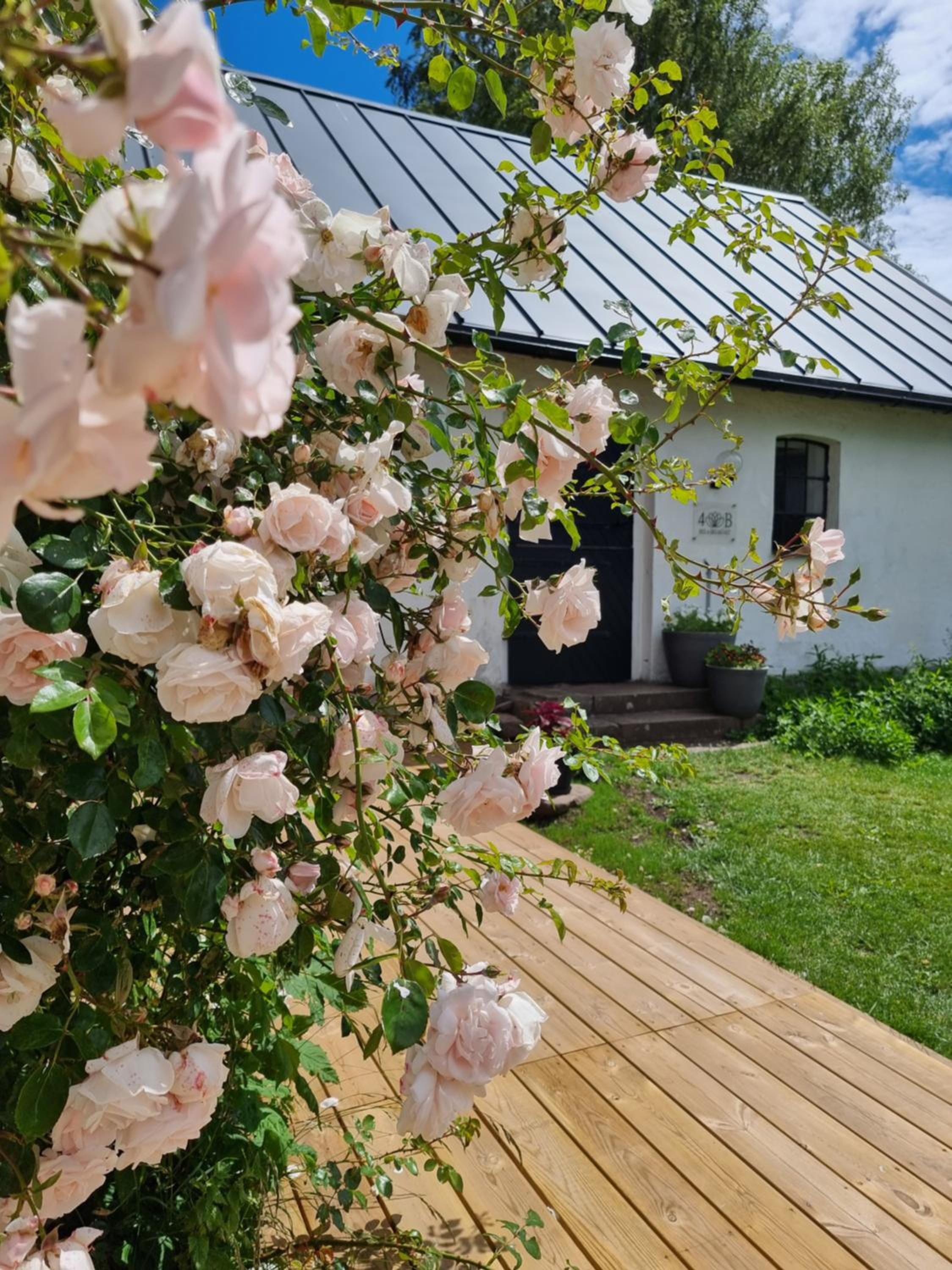 4B Österlen Bed & Breakfast view 4