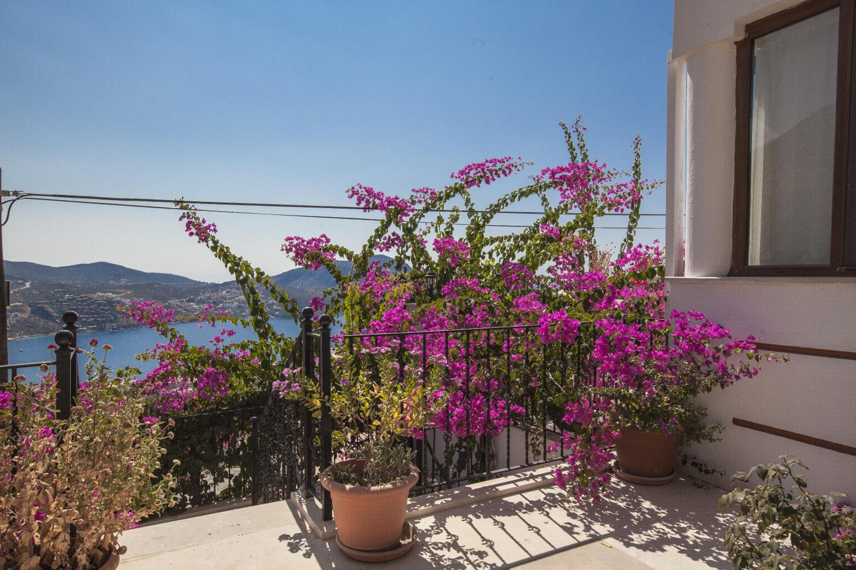 Villa Asya — photo 2