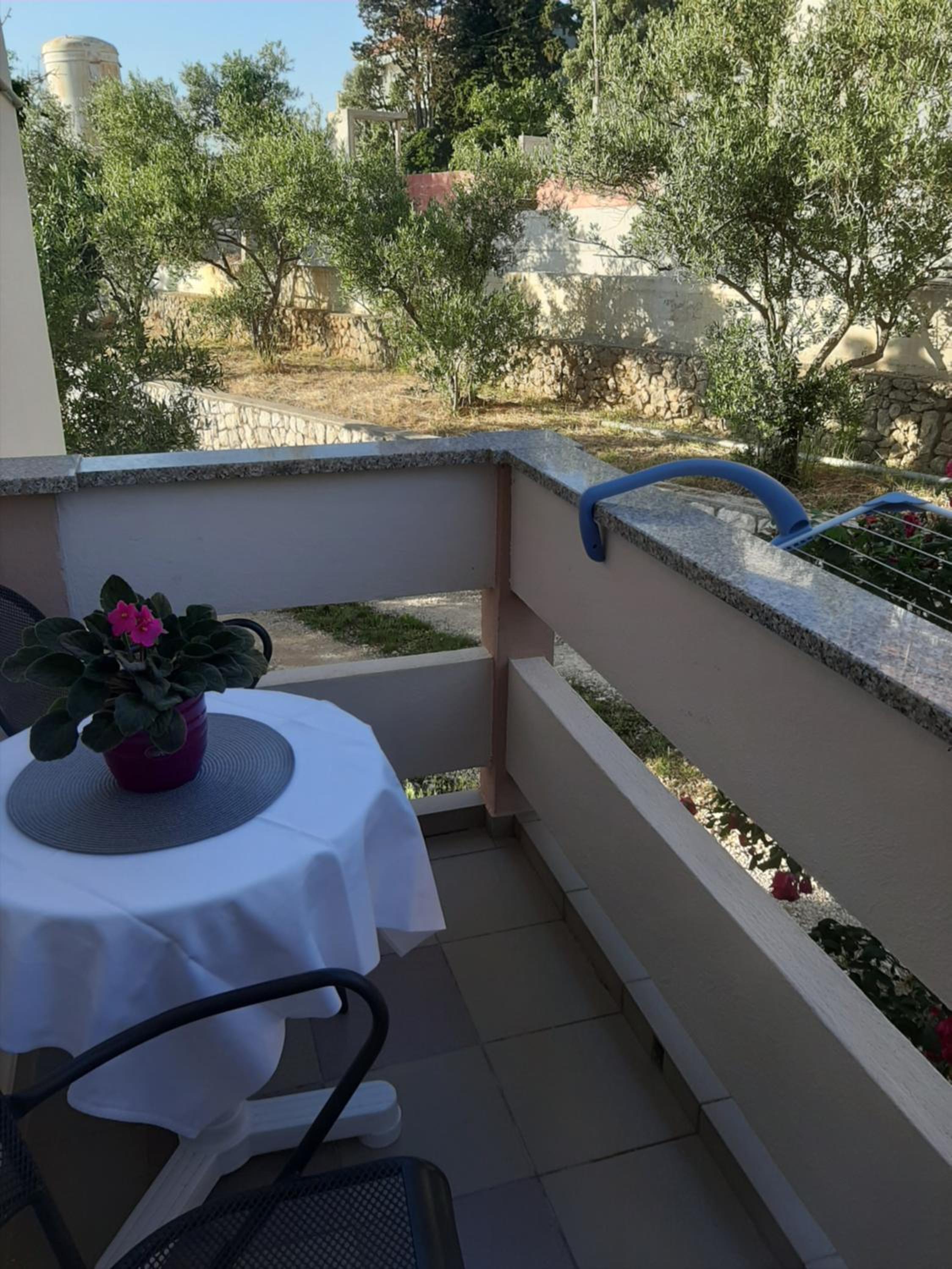 Photo 46