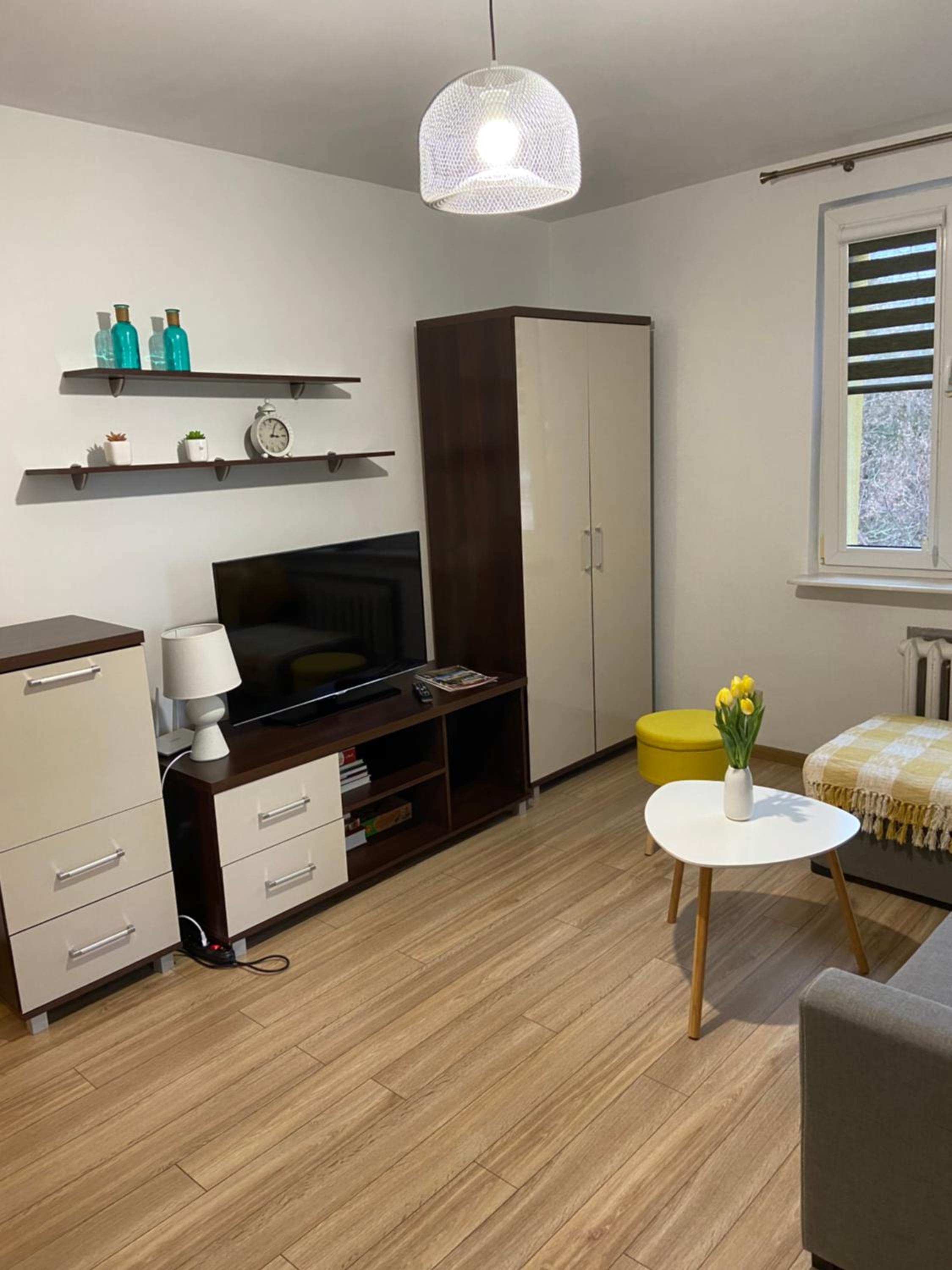 Apartament Saski view 3