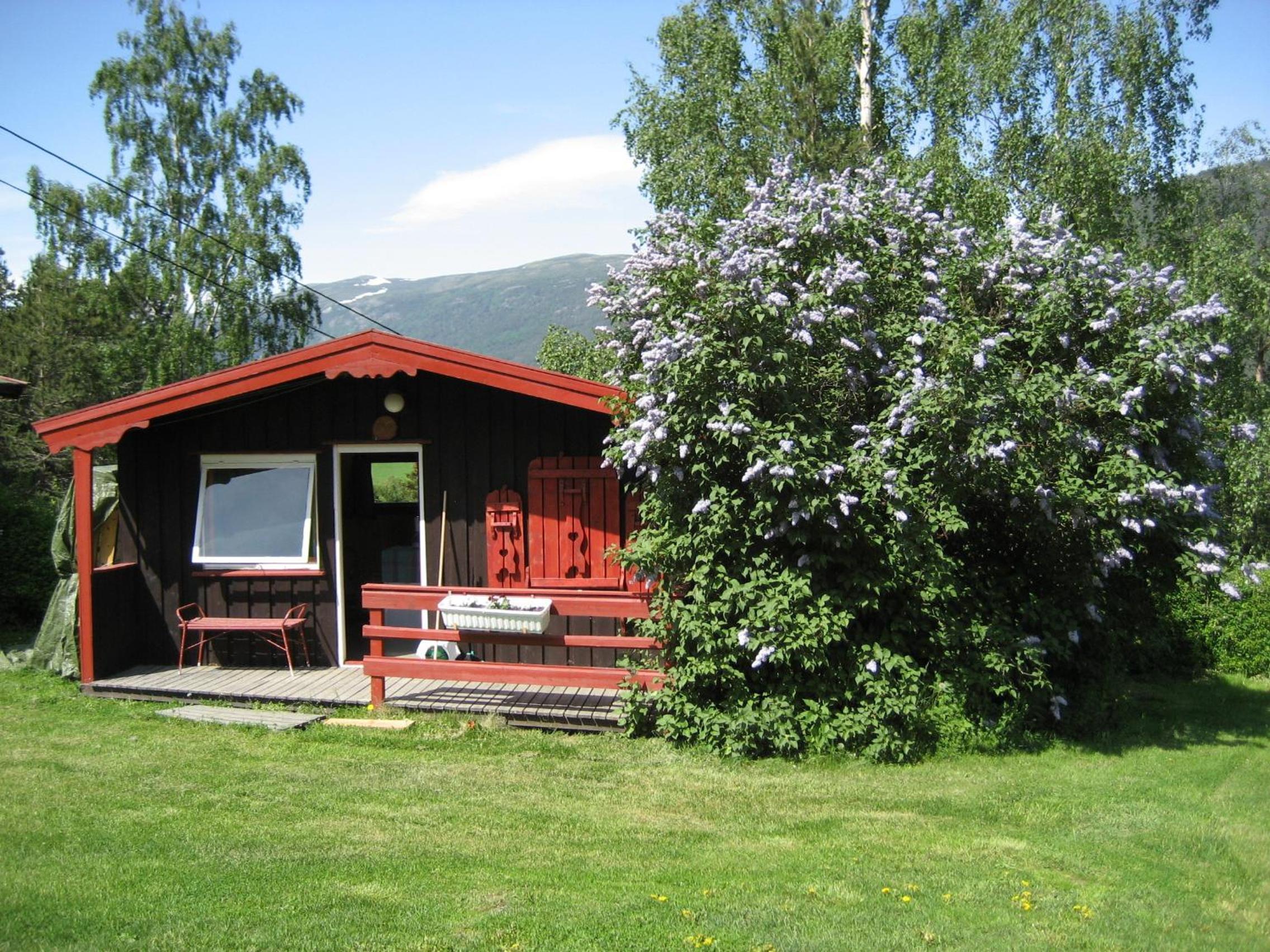 Photo 6