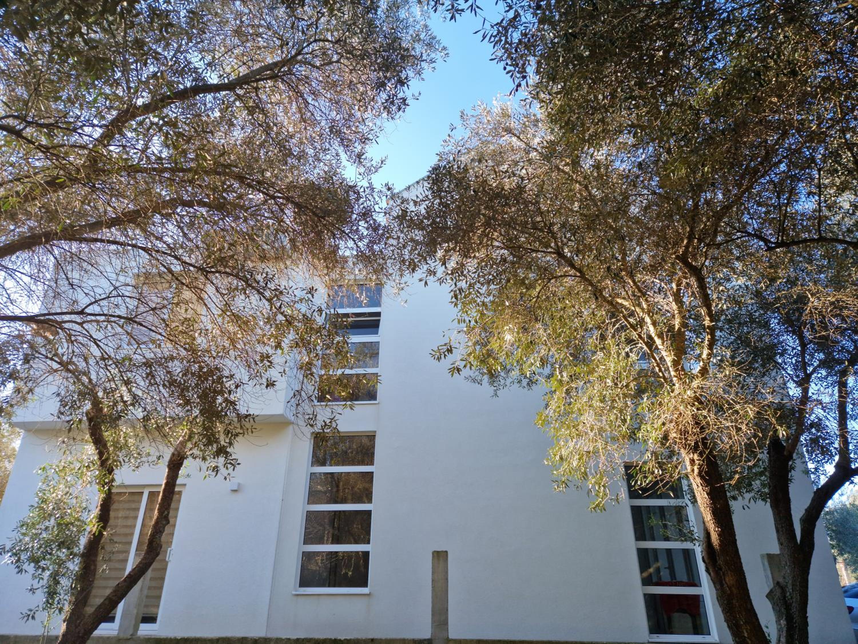 Olive Apartment photo 2