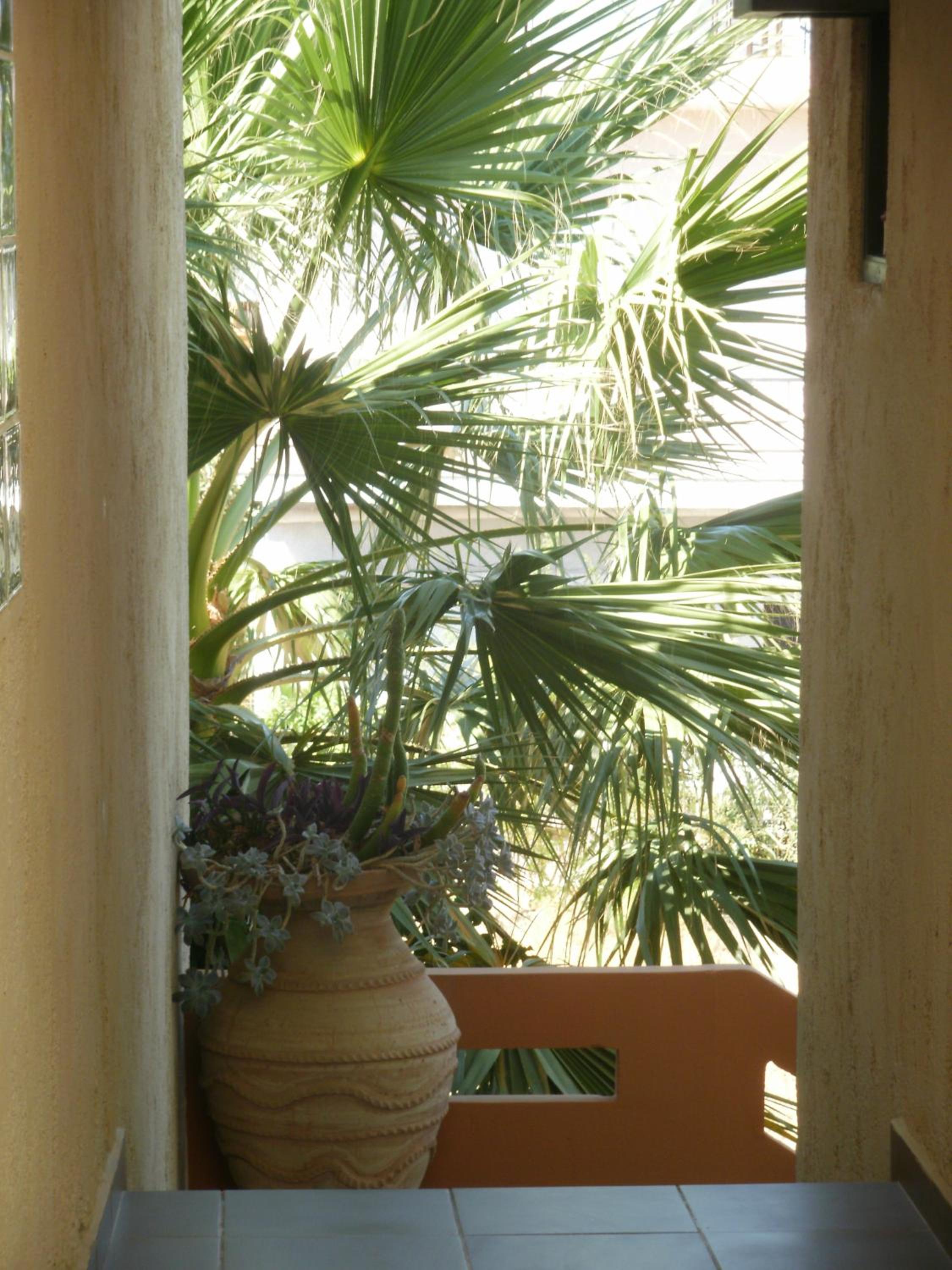 Photo 33