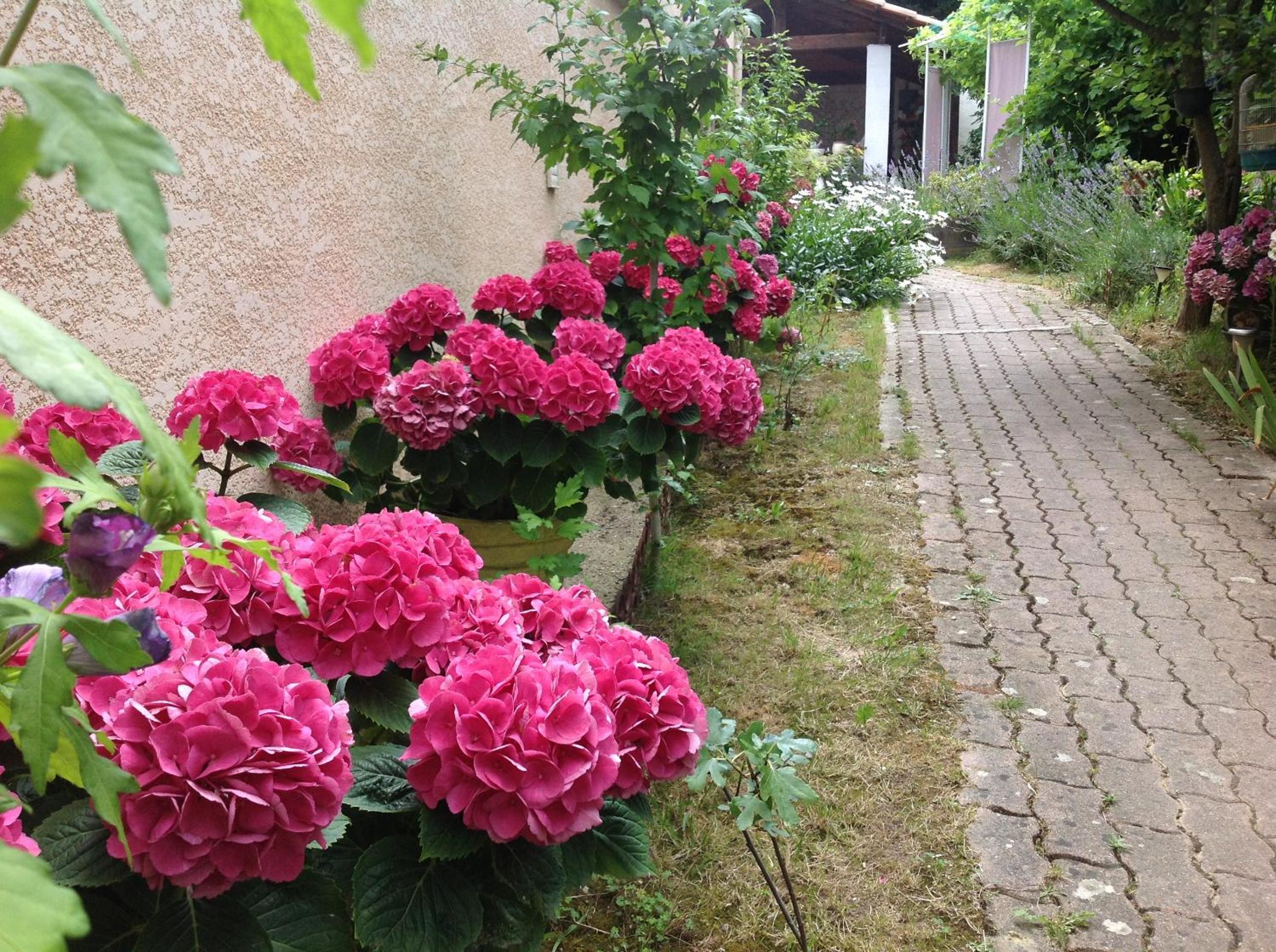 Maison d'hôtes Le Beauséjour