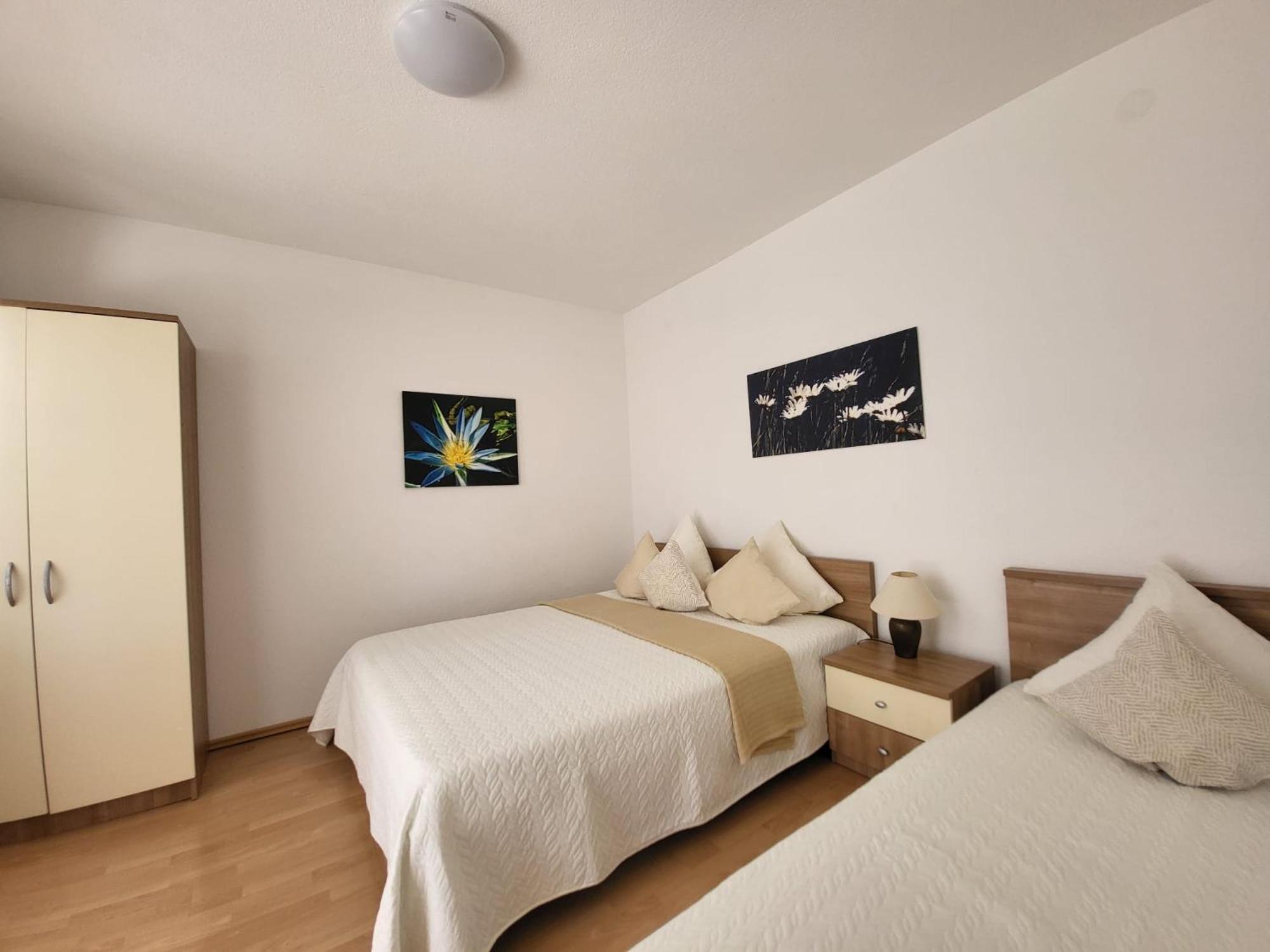 Apartments Jelica view 3