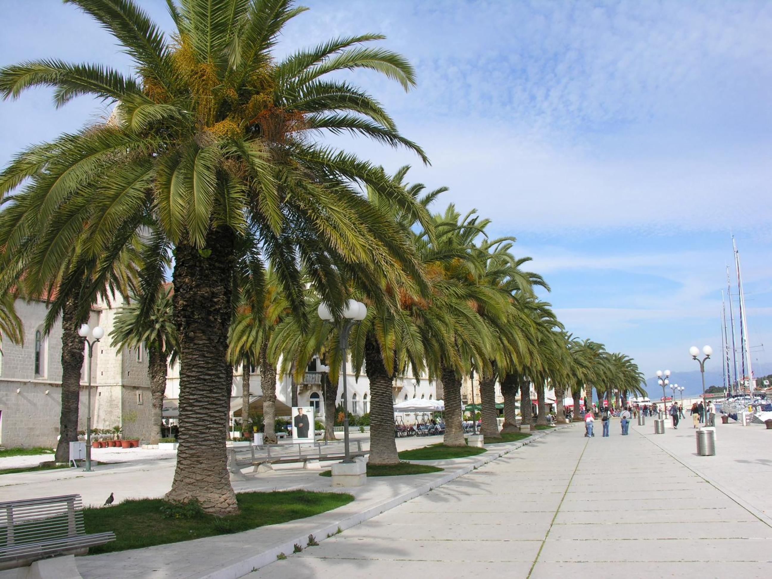 Photo 30
