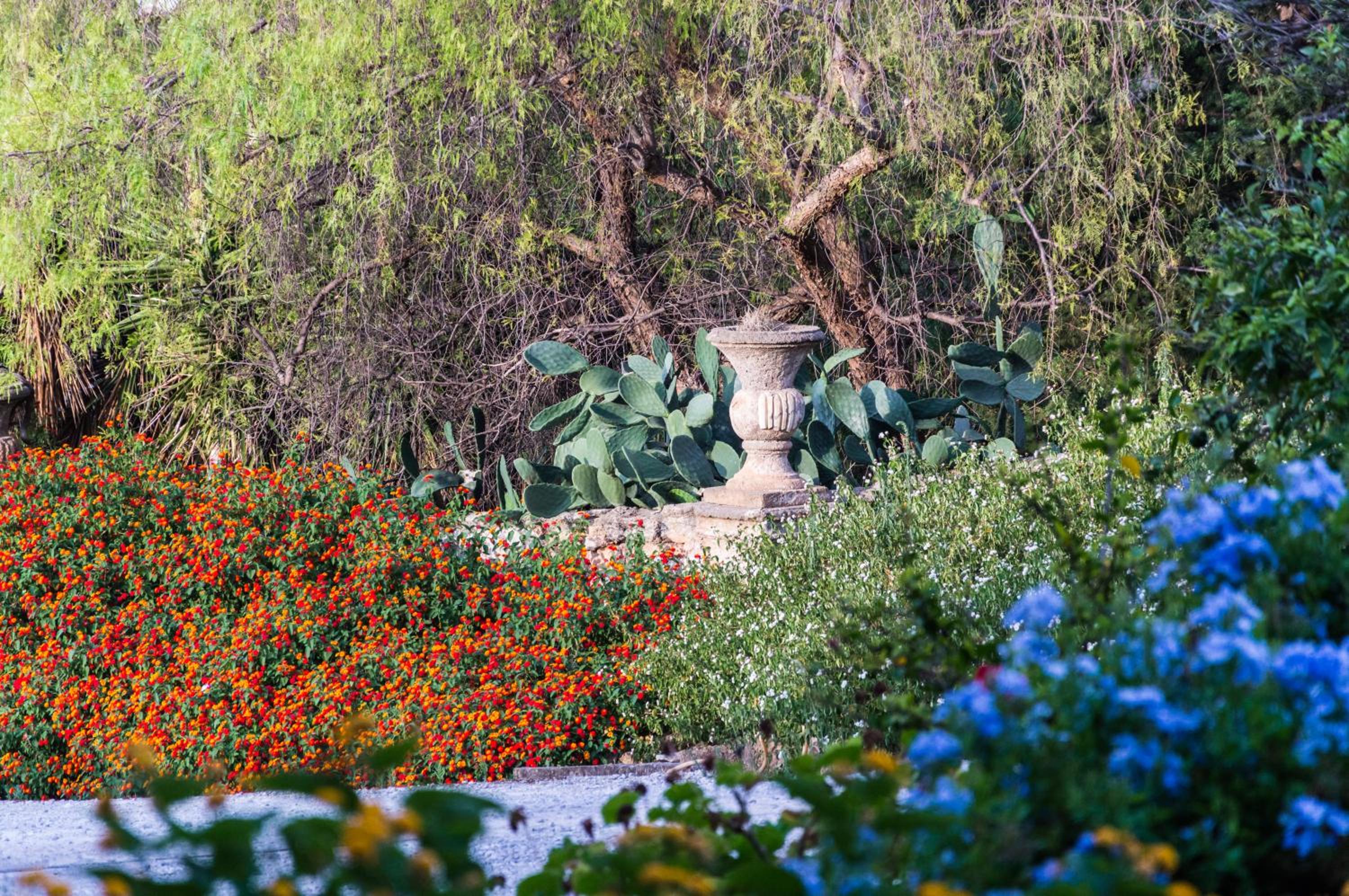 Vero Sicily - Sicilian Garden Cottages view 5