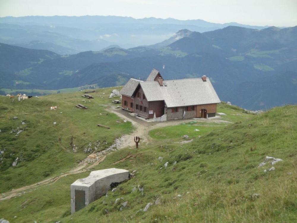 Photo 15