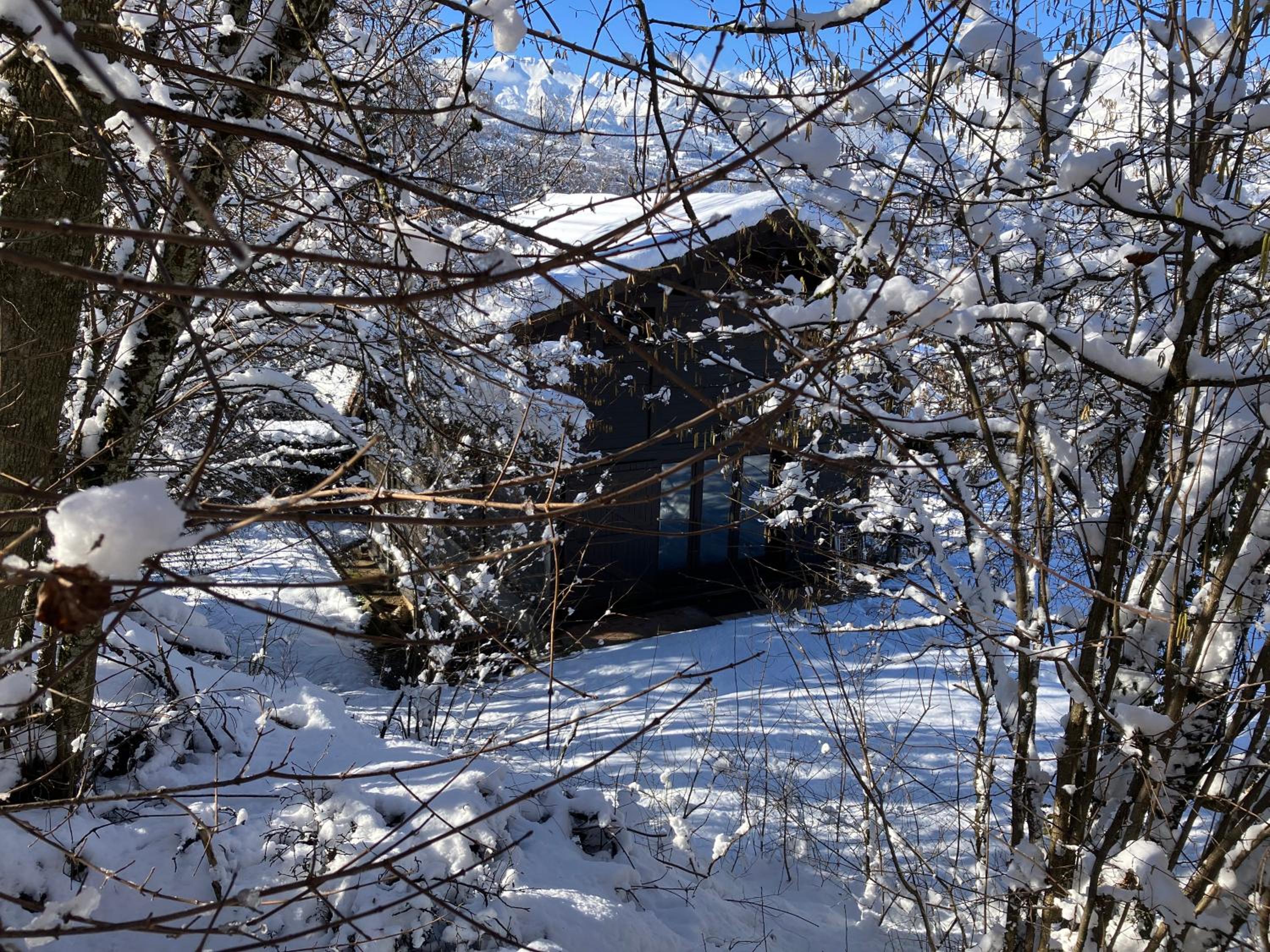 Chalet Le Grand Paddock view 3