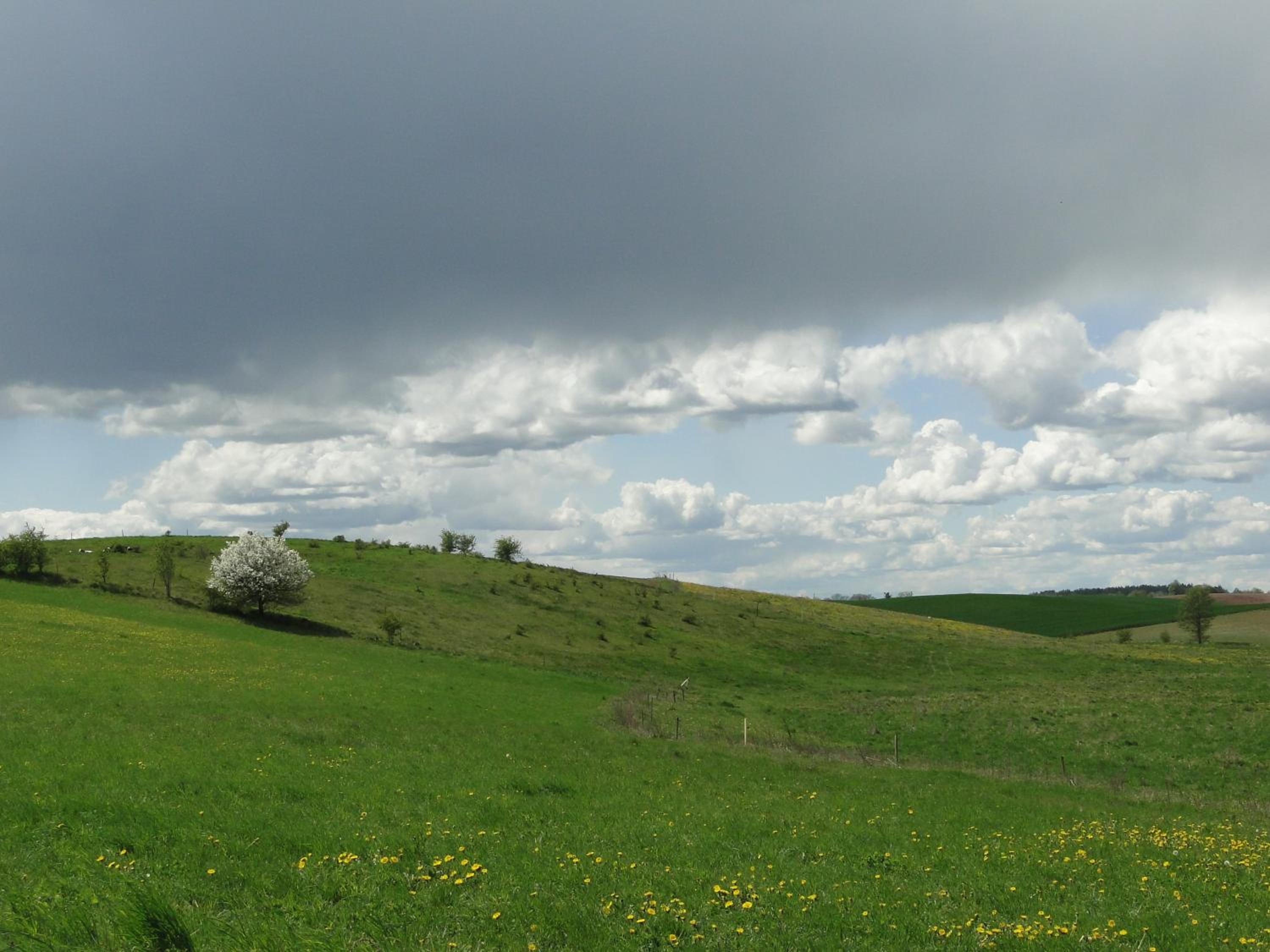 Photo 36