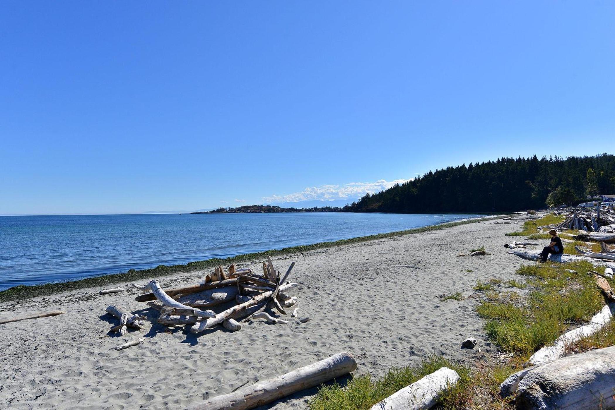 Arbutus Hill