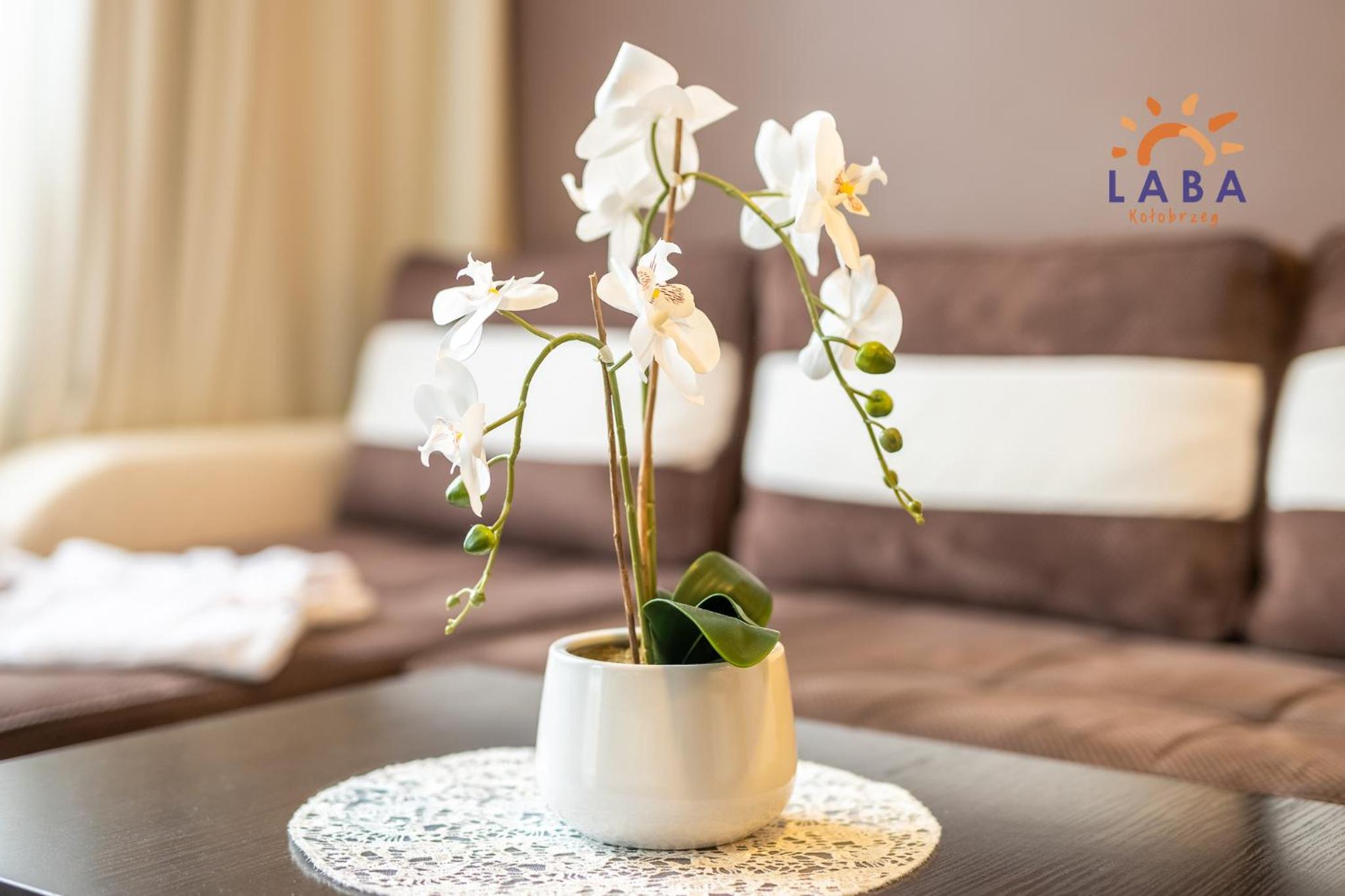 LABA Kołobrzeg DIVA Apartament Prywatny view 4