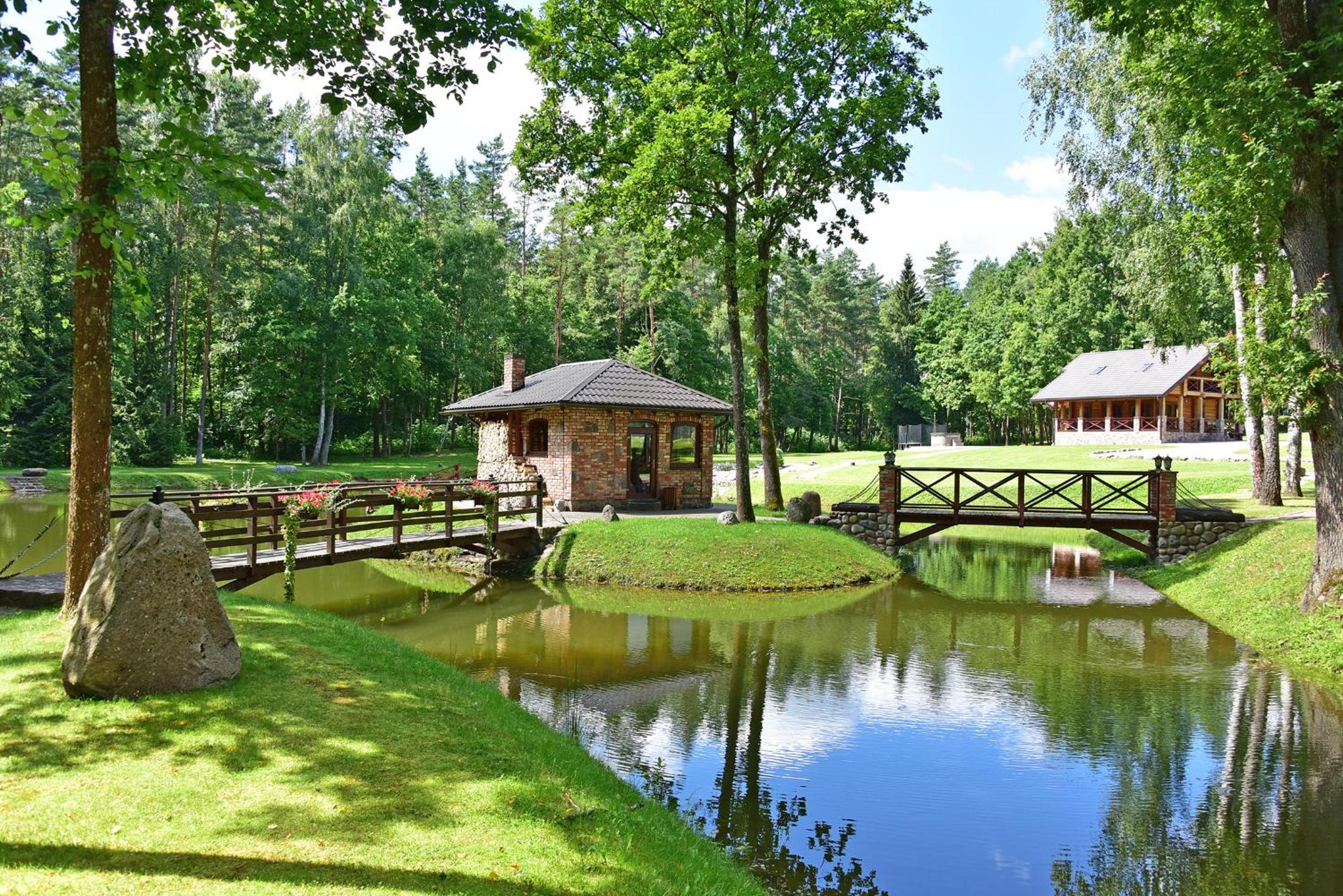 Auksinis Ąžuolas view 4