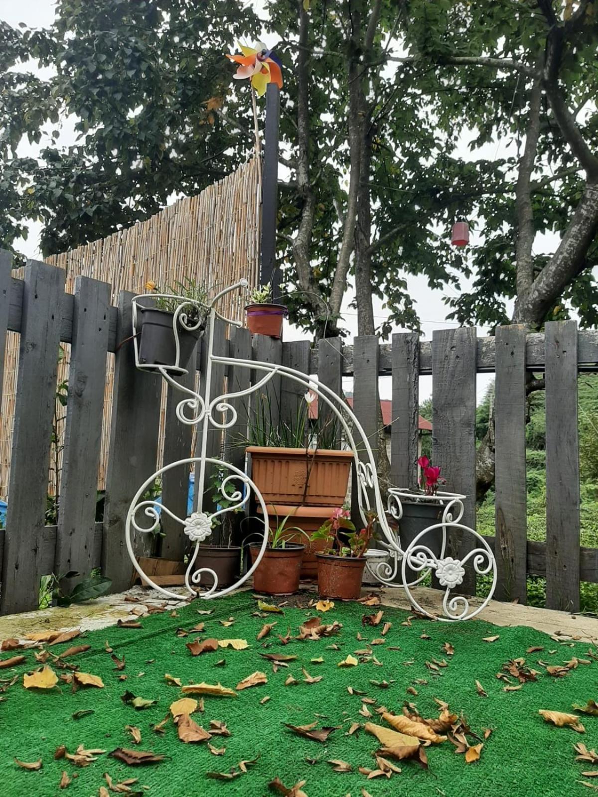 Bera Bungalov