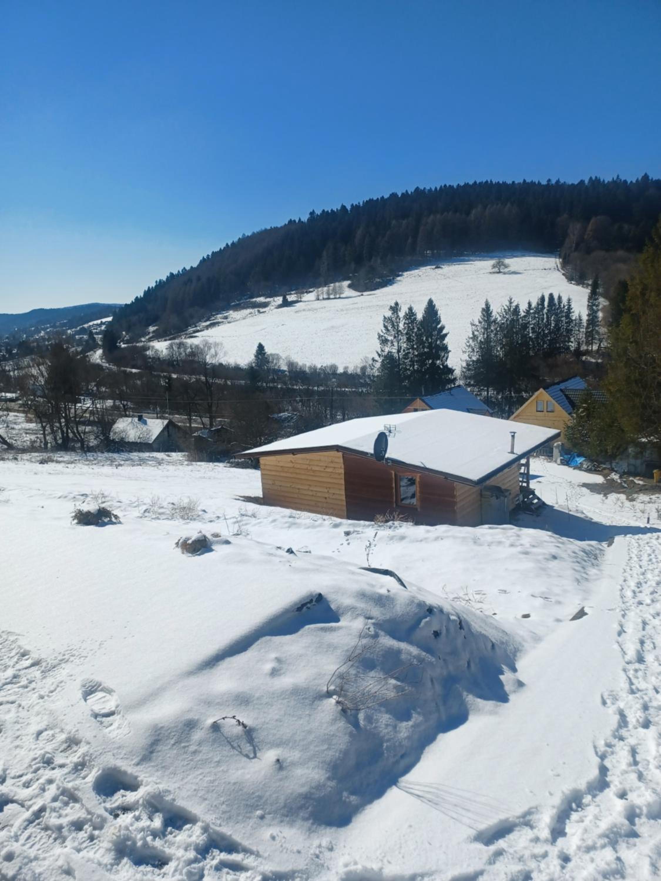 Leśny dzban view 5