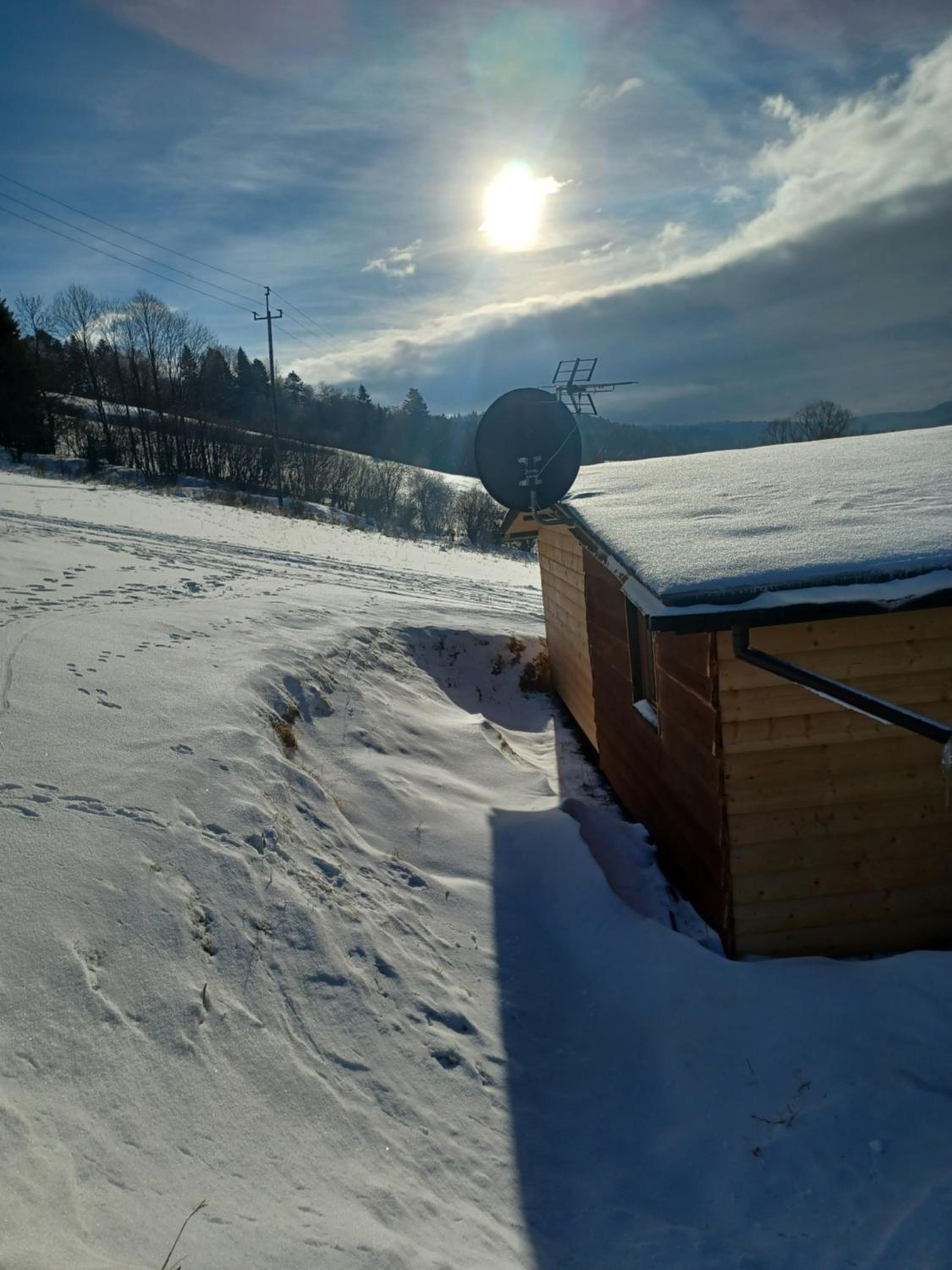 Leśny dzban view 4