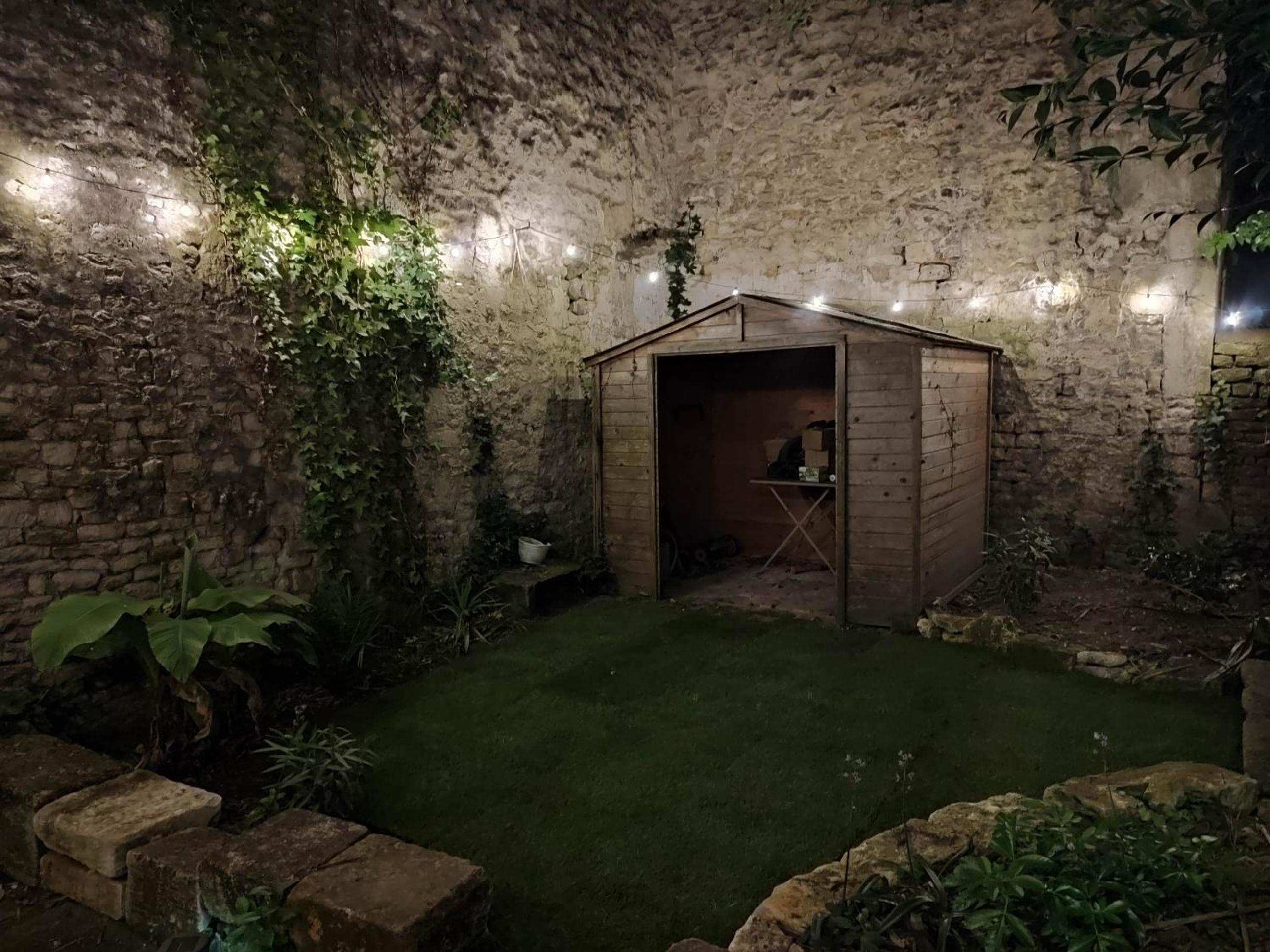 garden