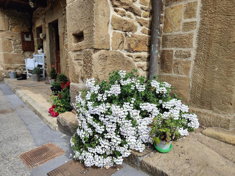 Casa Laudina y Armando photo 2