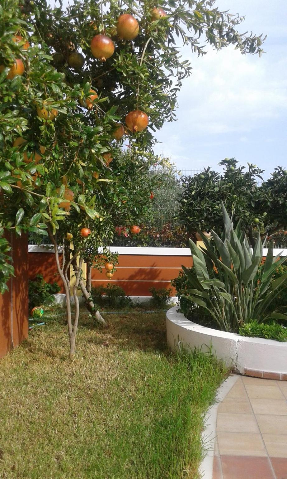 Astra Village & Suites