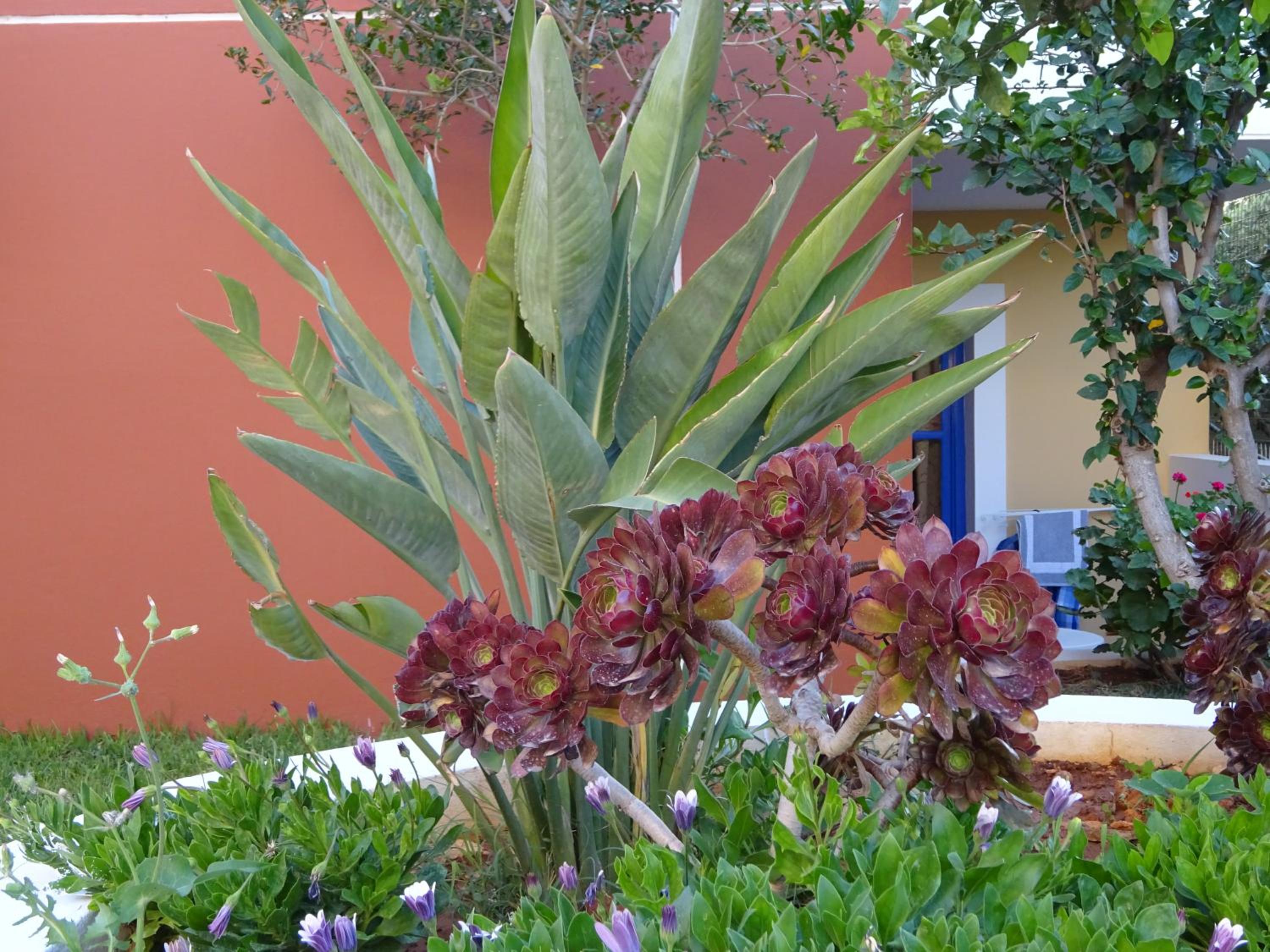 Astra Village & Suites