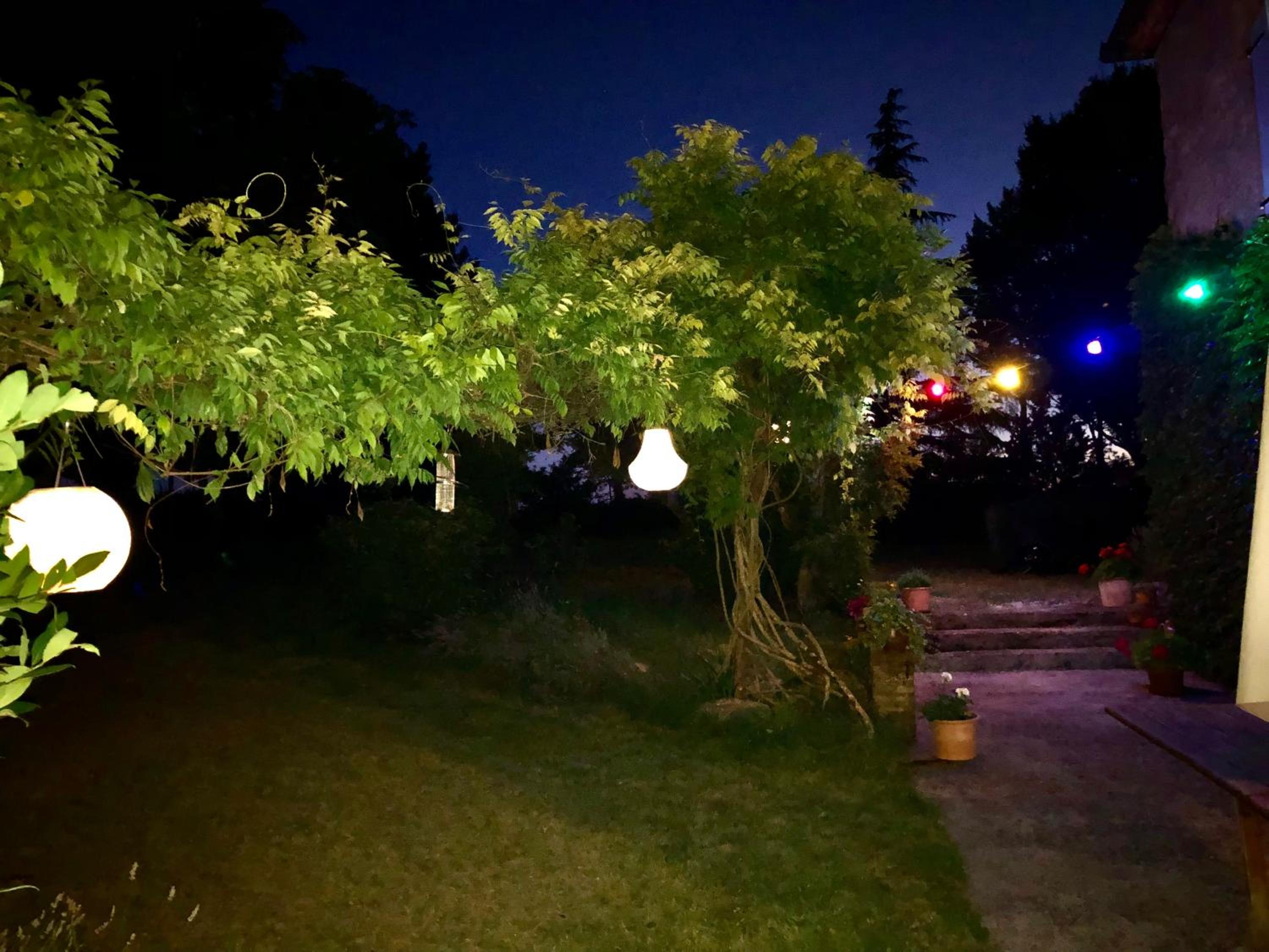 Photo 28