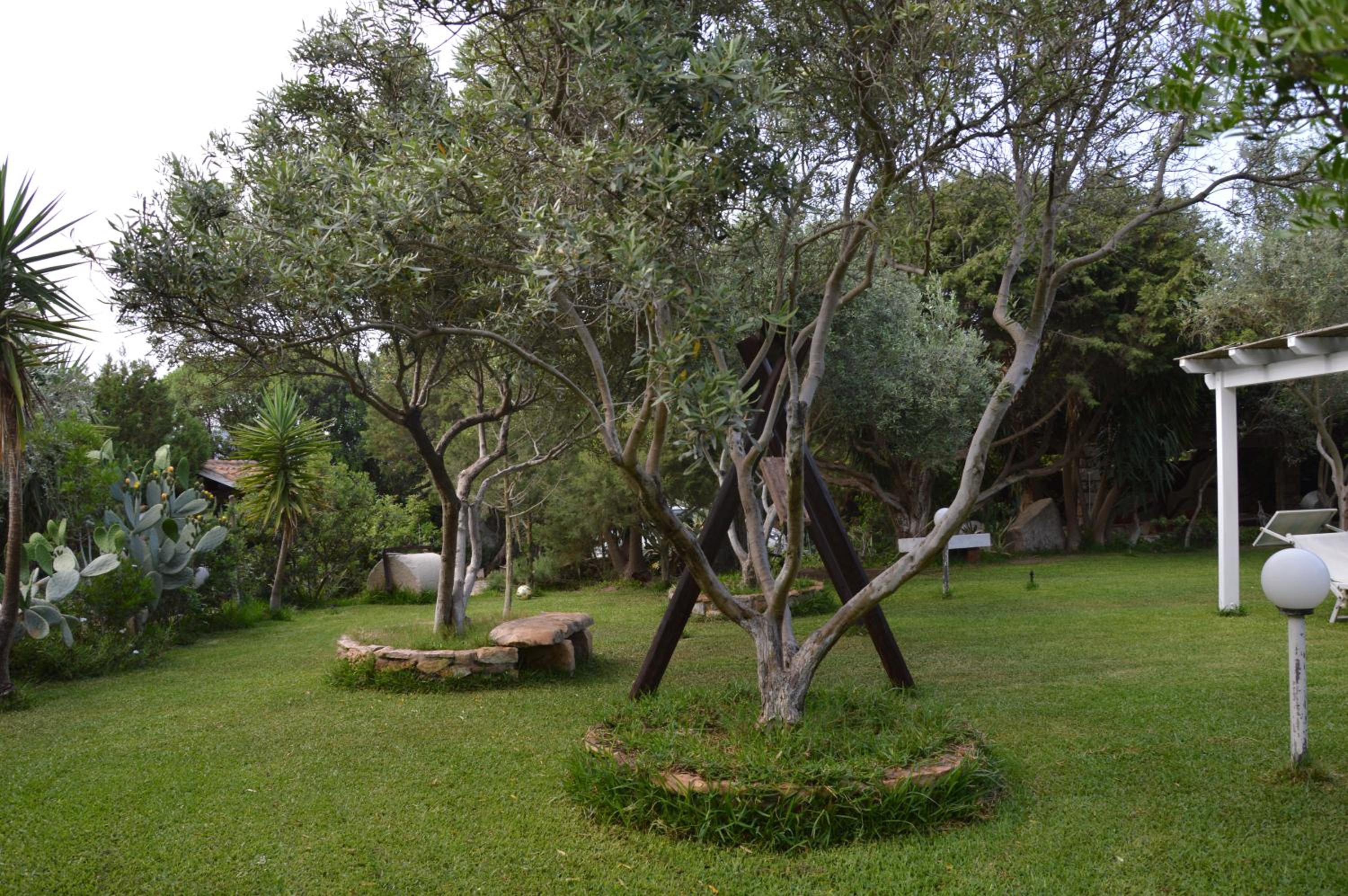 Photo 25