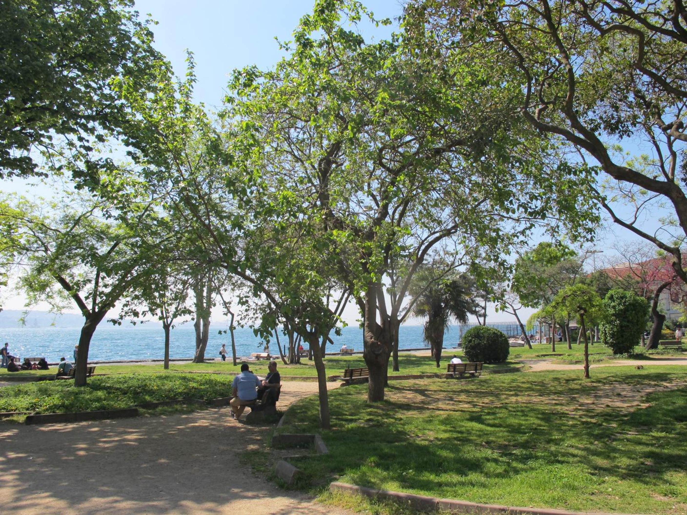 children's play area