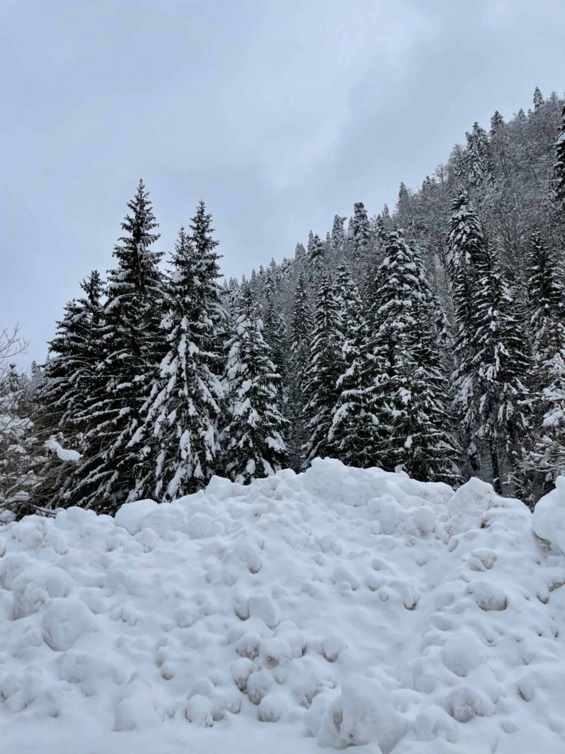 Charna Apartman Kolasin photo 2