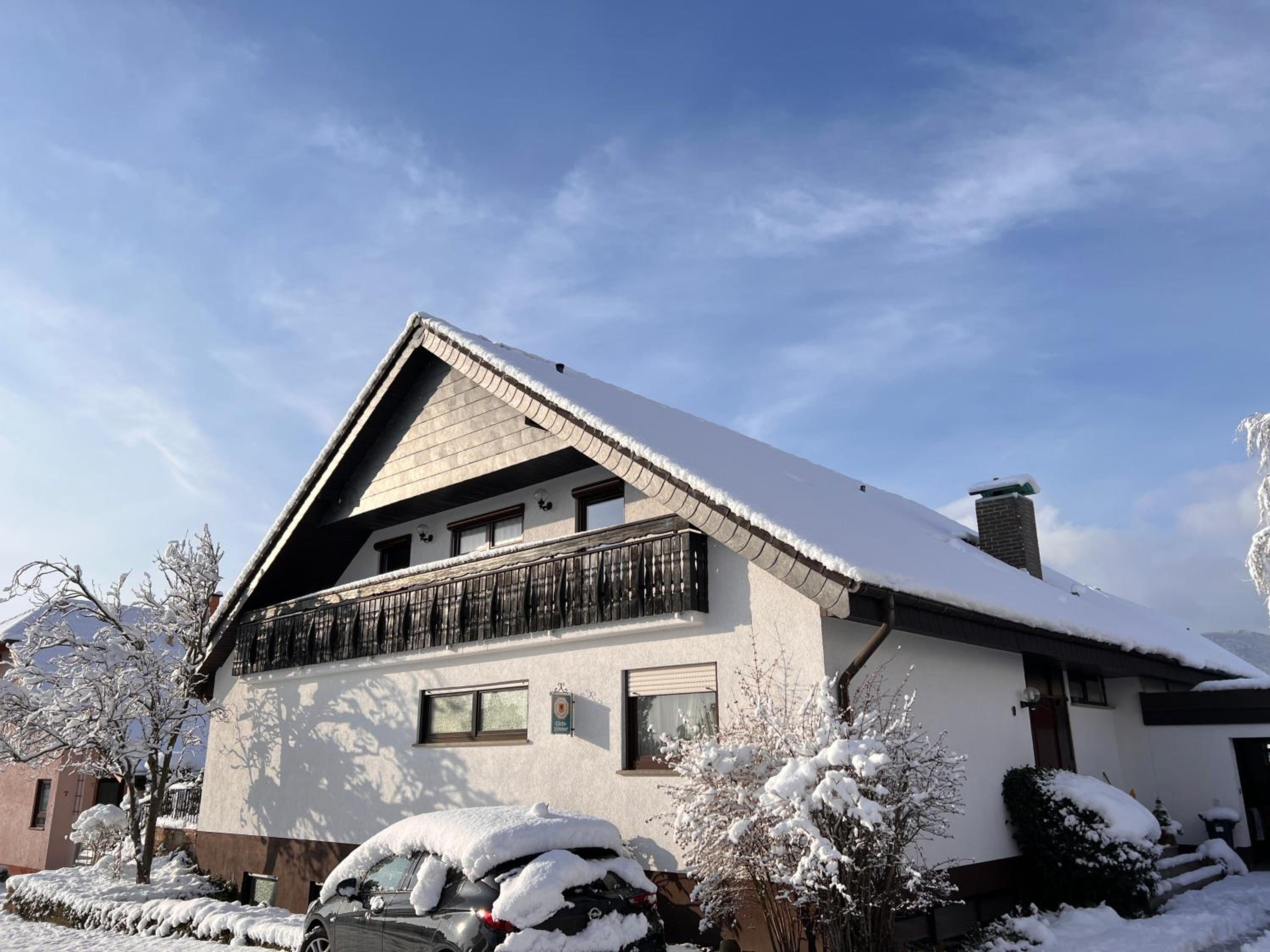 Nickel Haus view 3
