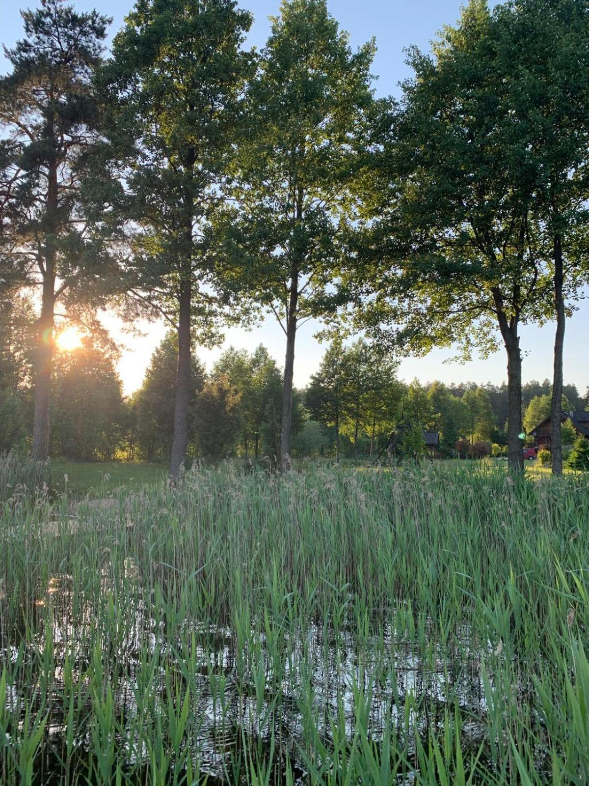 Pokoje Nadrzeczna