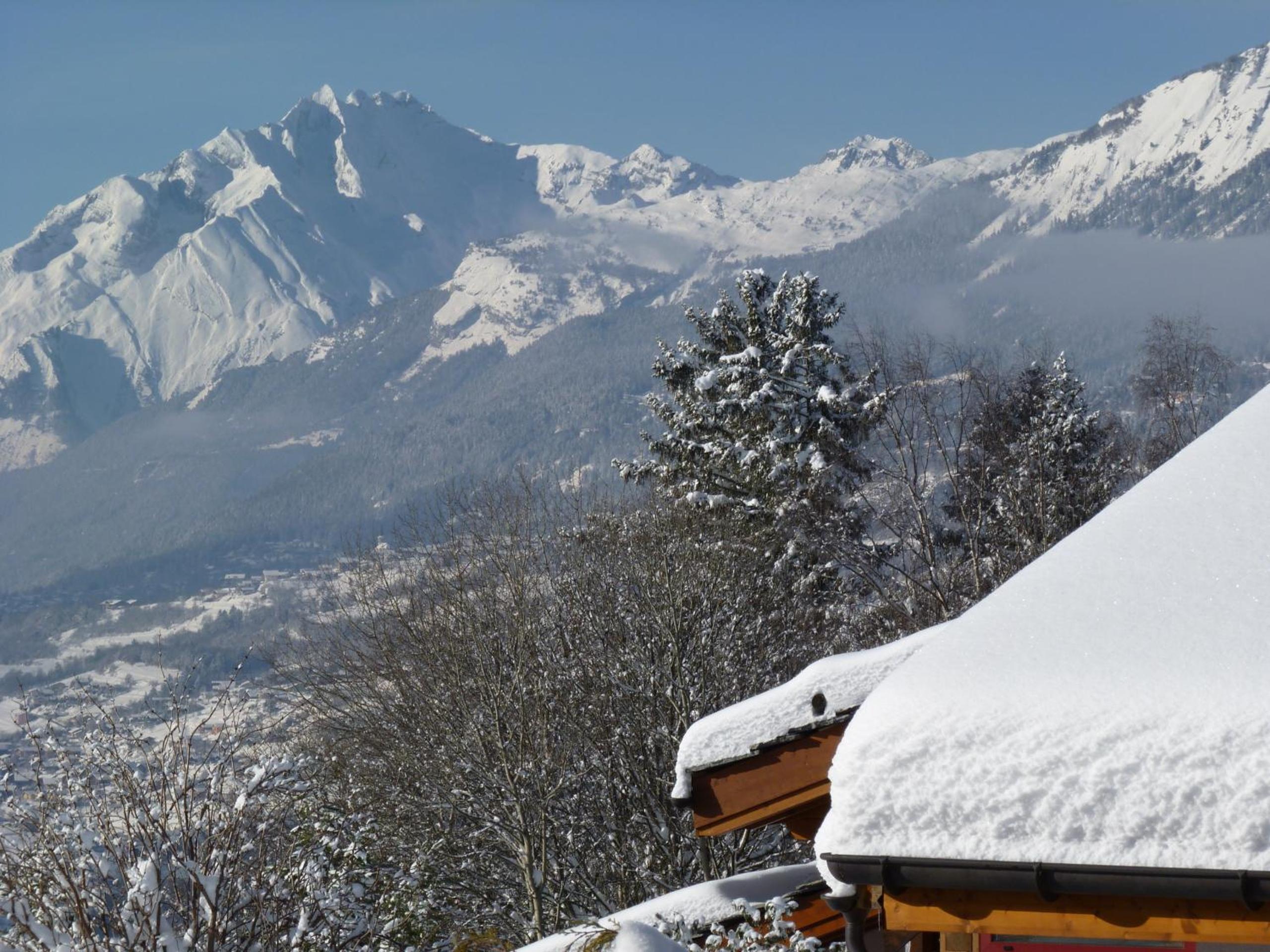 Chalet des Alpes