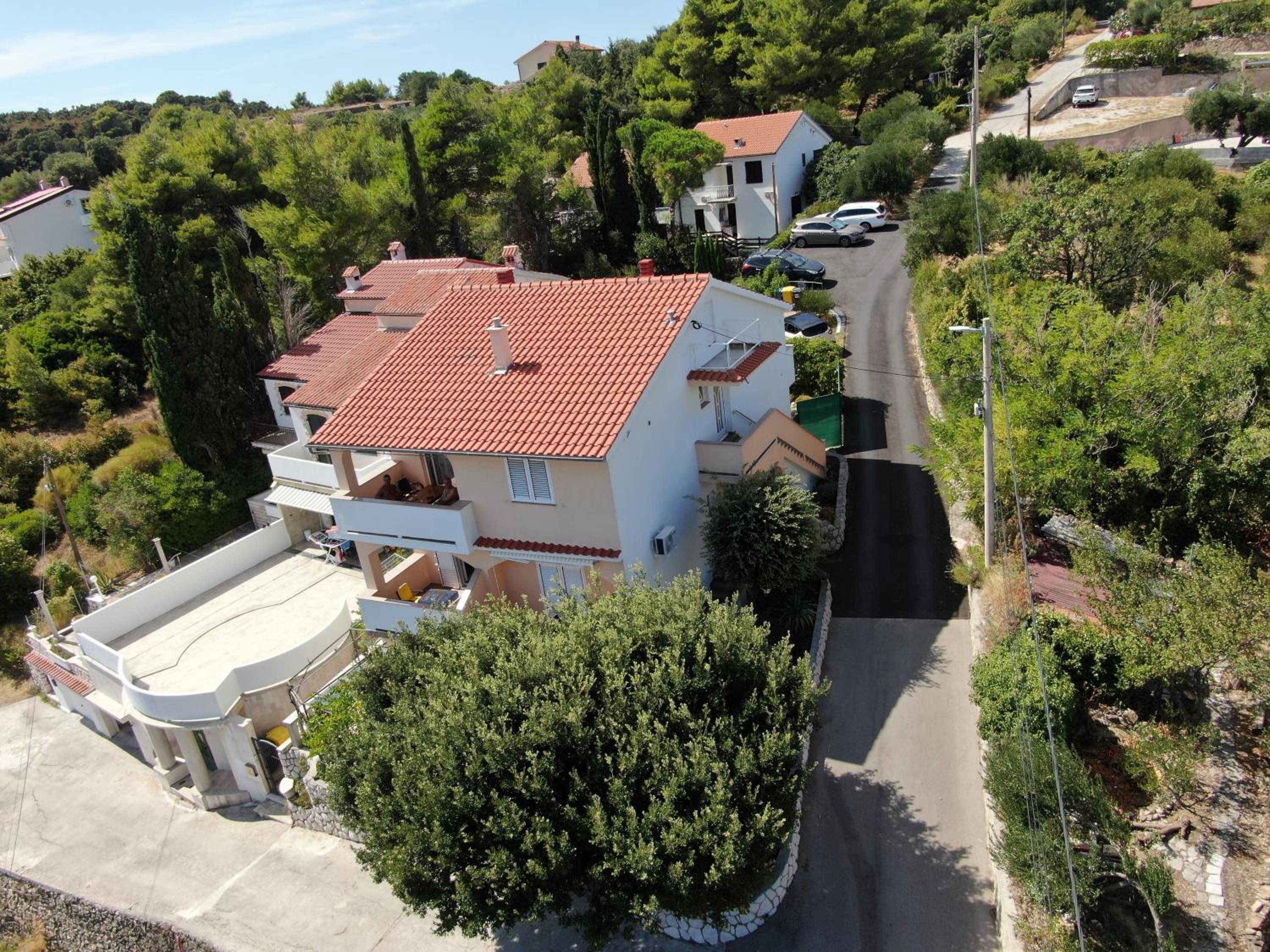 Guest House Violeta