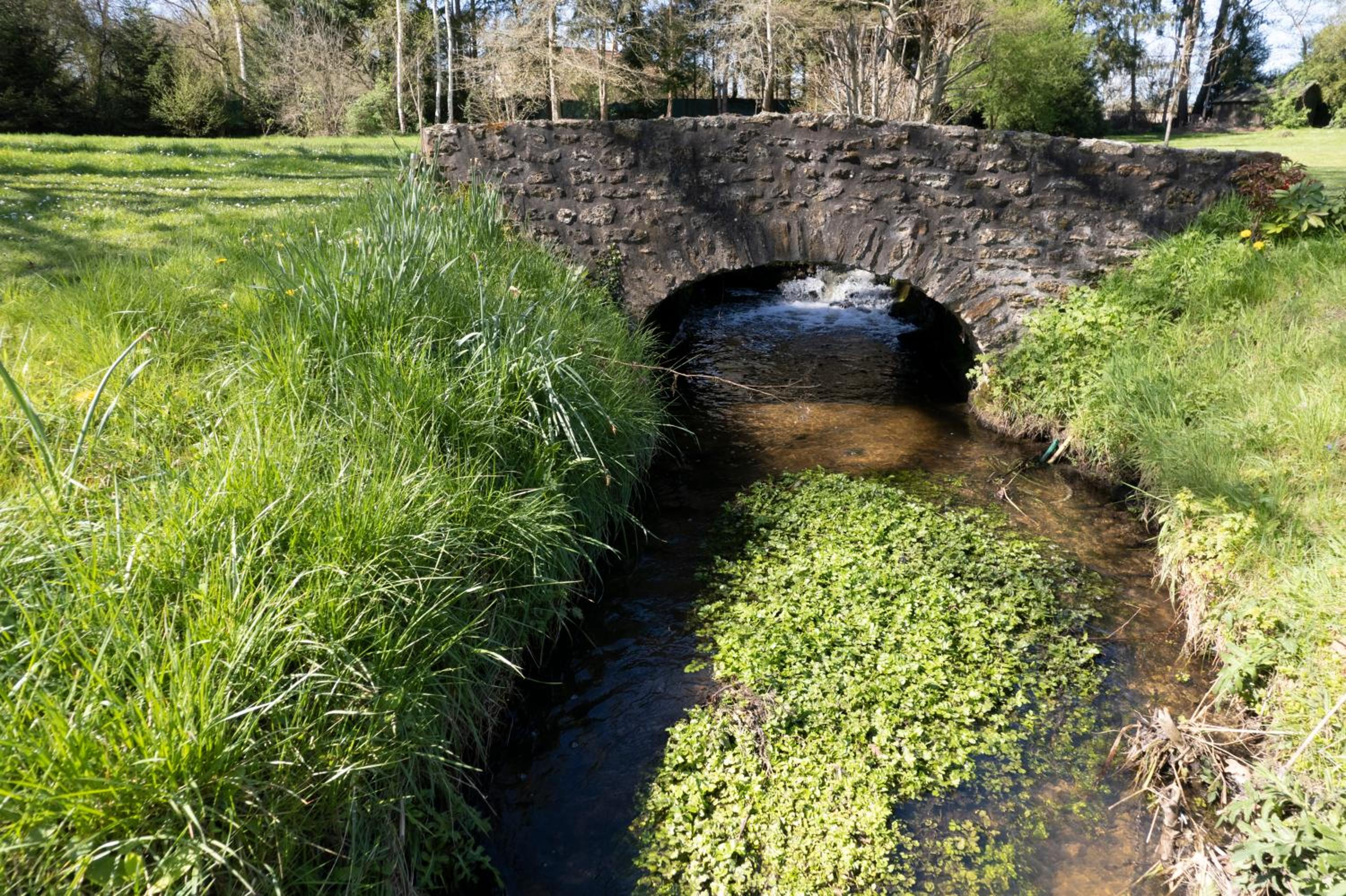 Photo 42