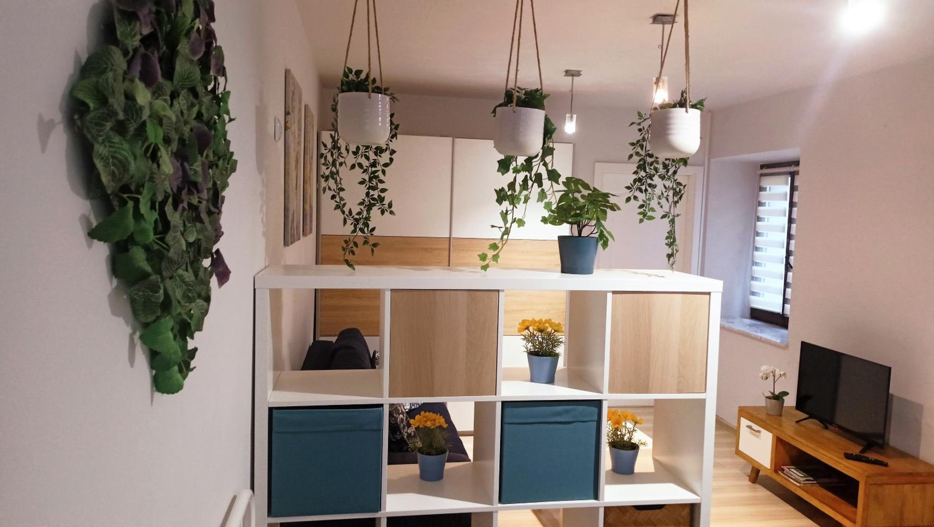 Apartament Granatowy Świętoduska 12